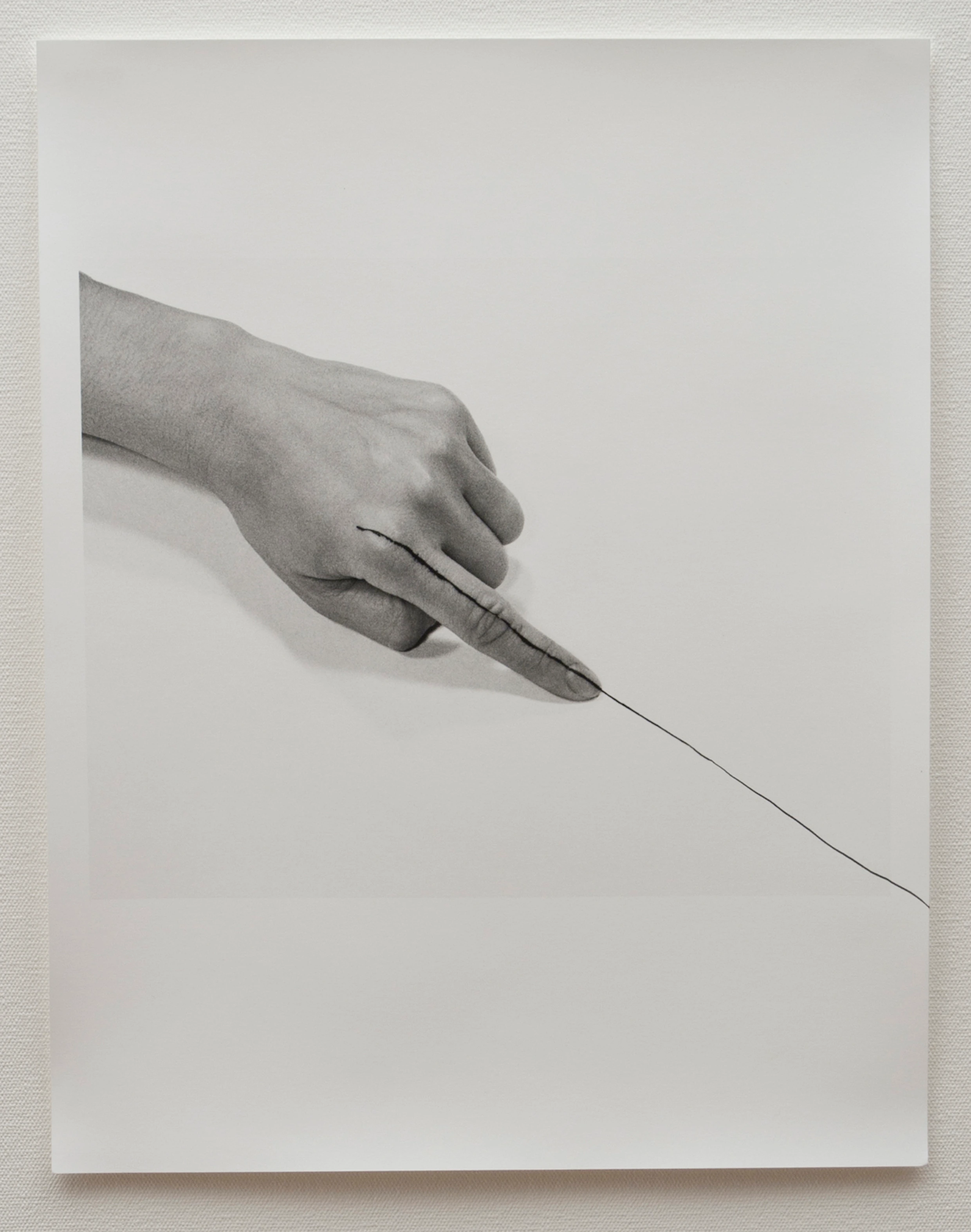 Untitled (Line)