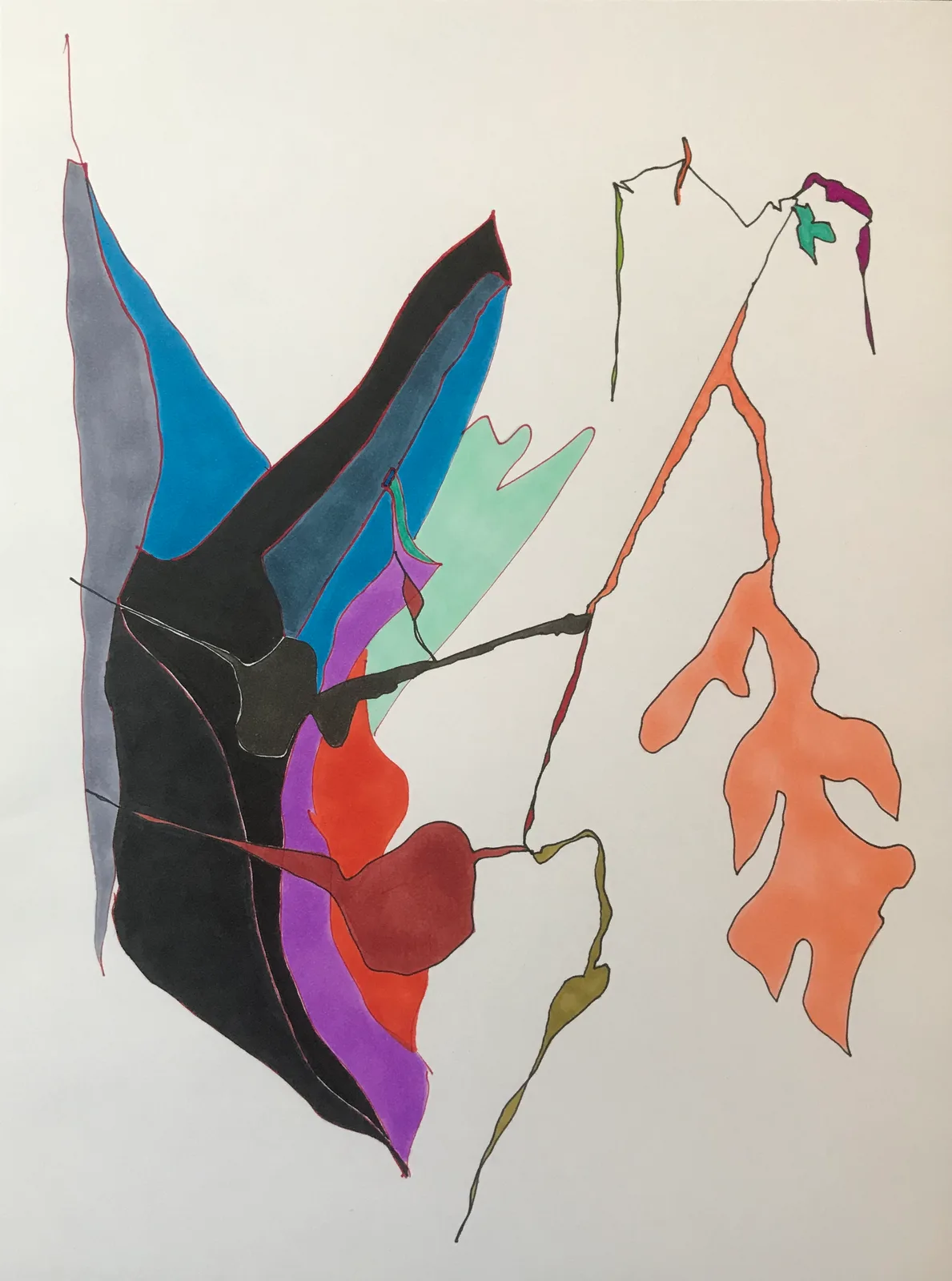 Gladioli