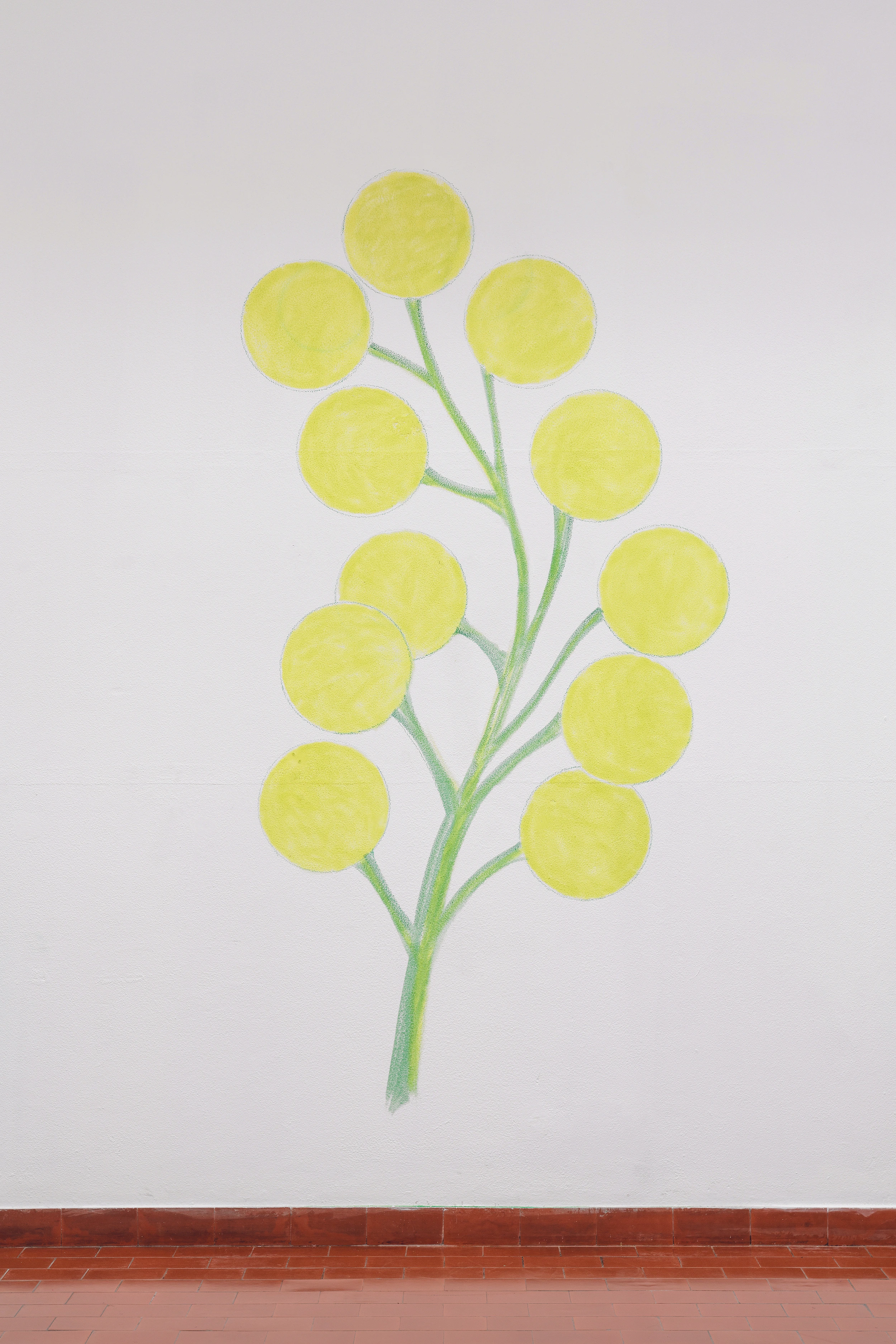 uvas