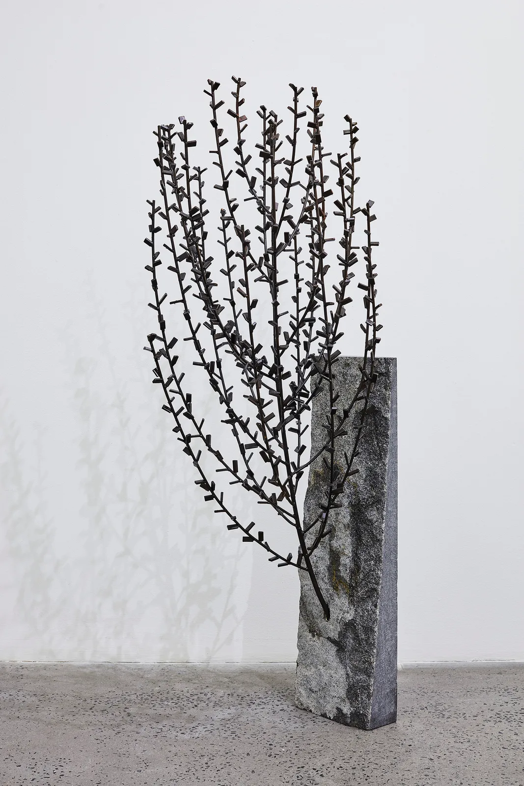 Emergence II