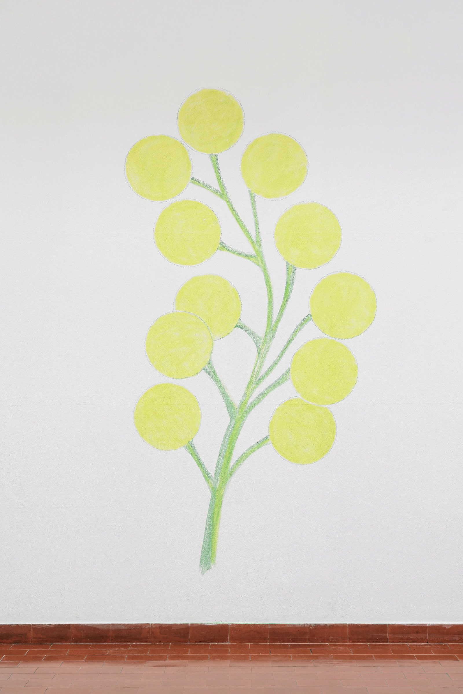 uvas