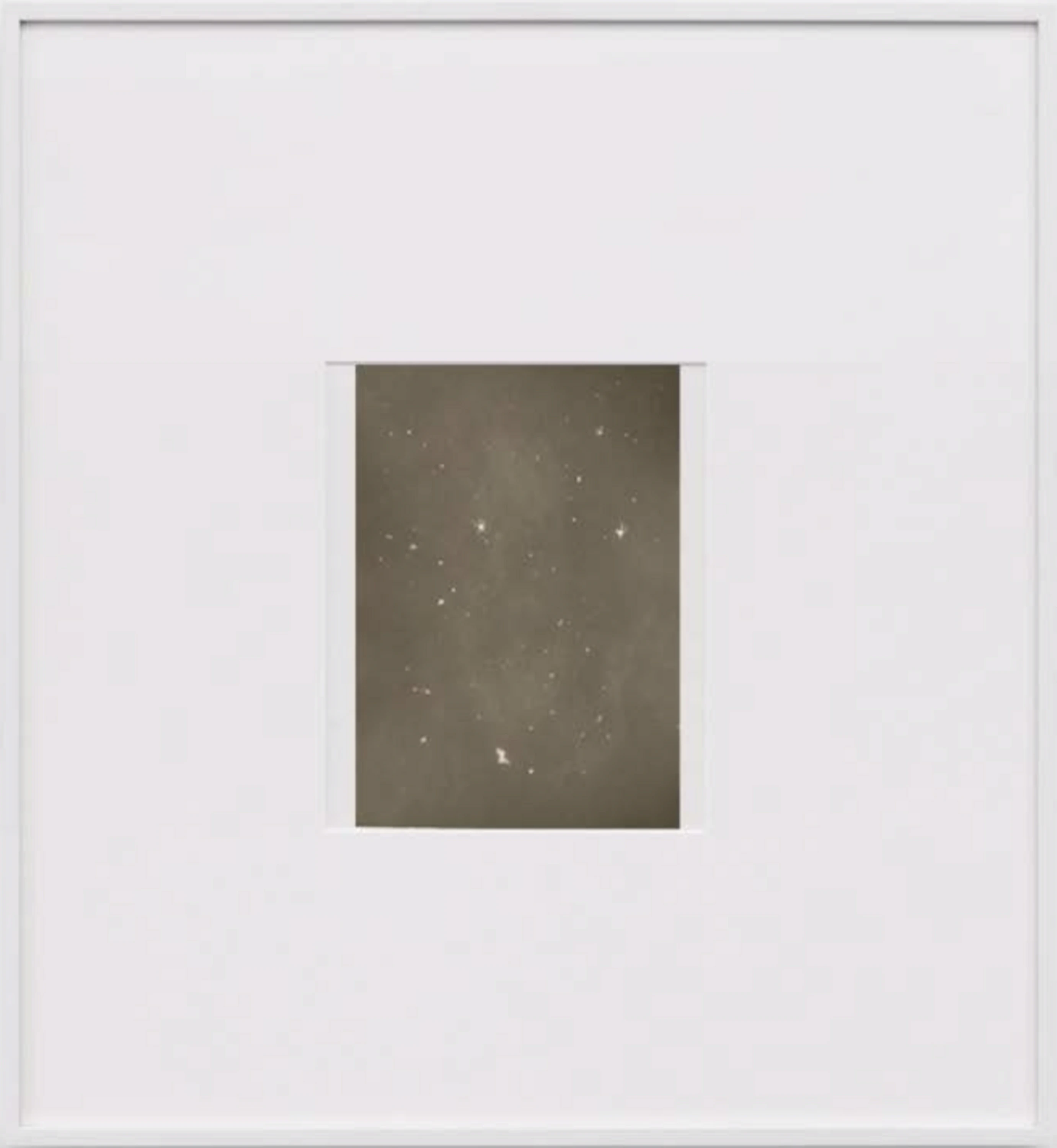Plancton (#3)