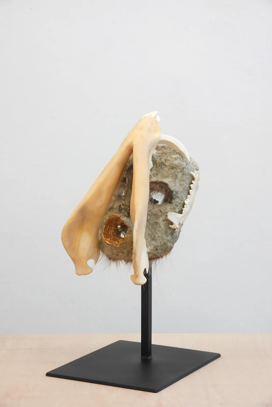Mask with Wild Boar's Jaw