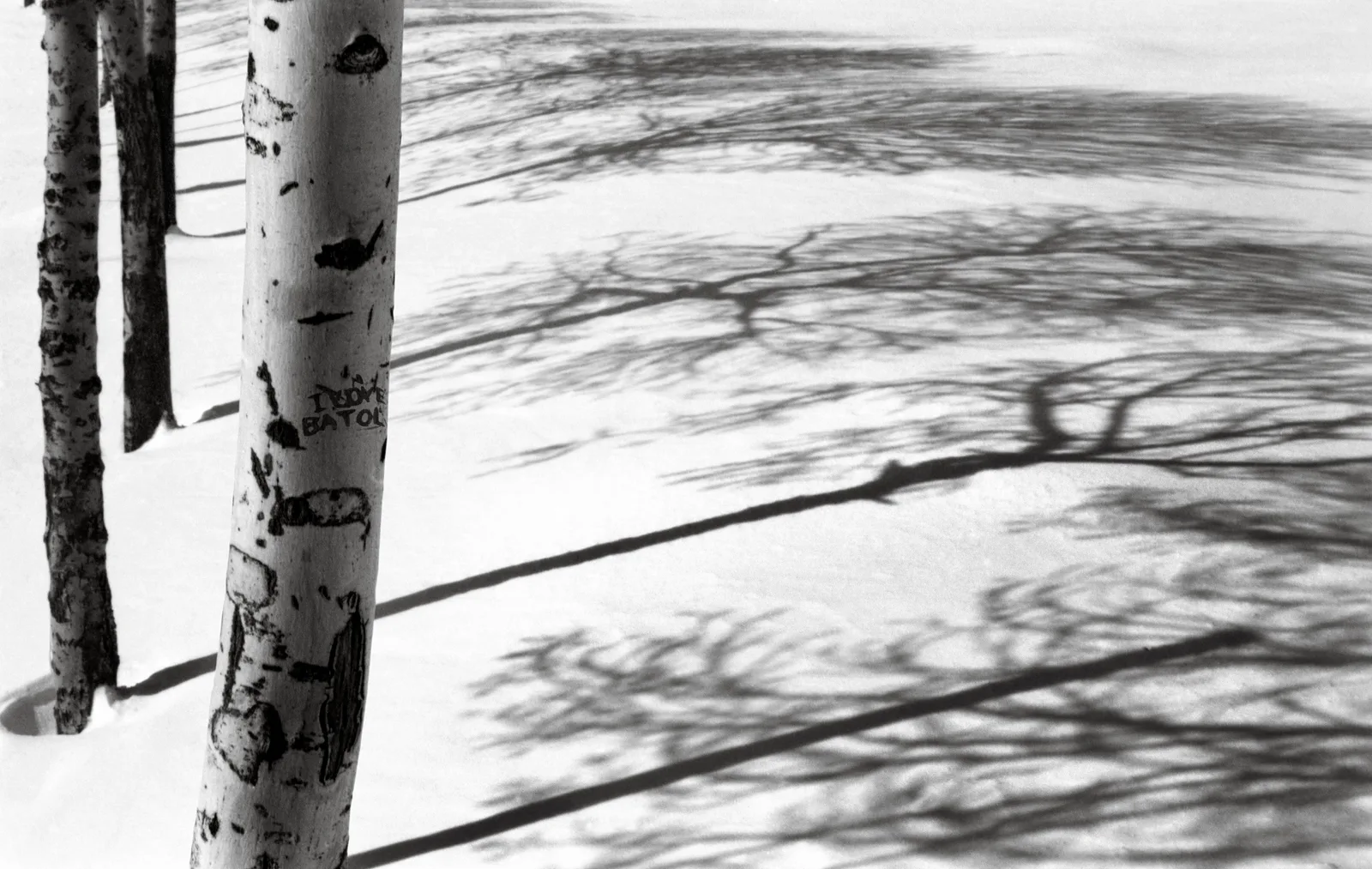 Snow no.47