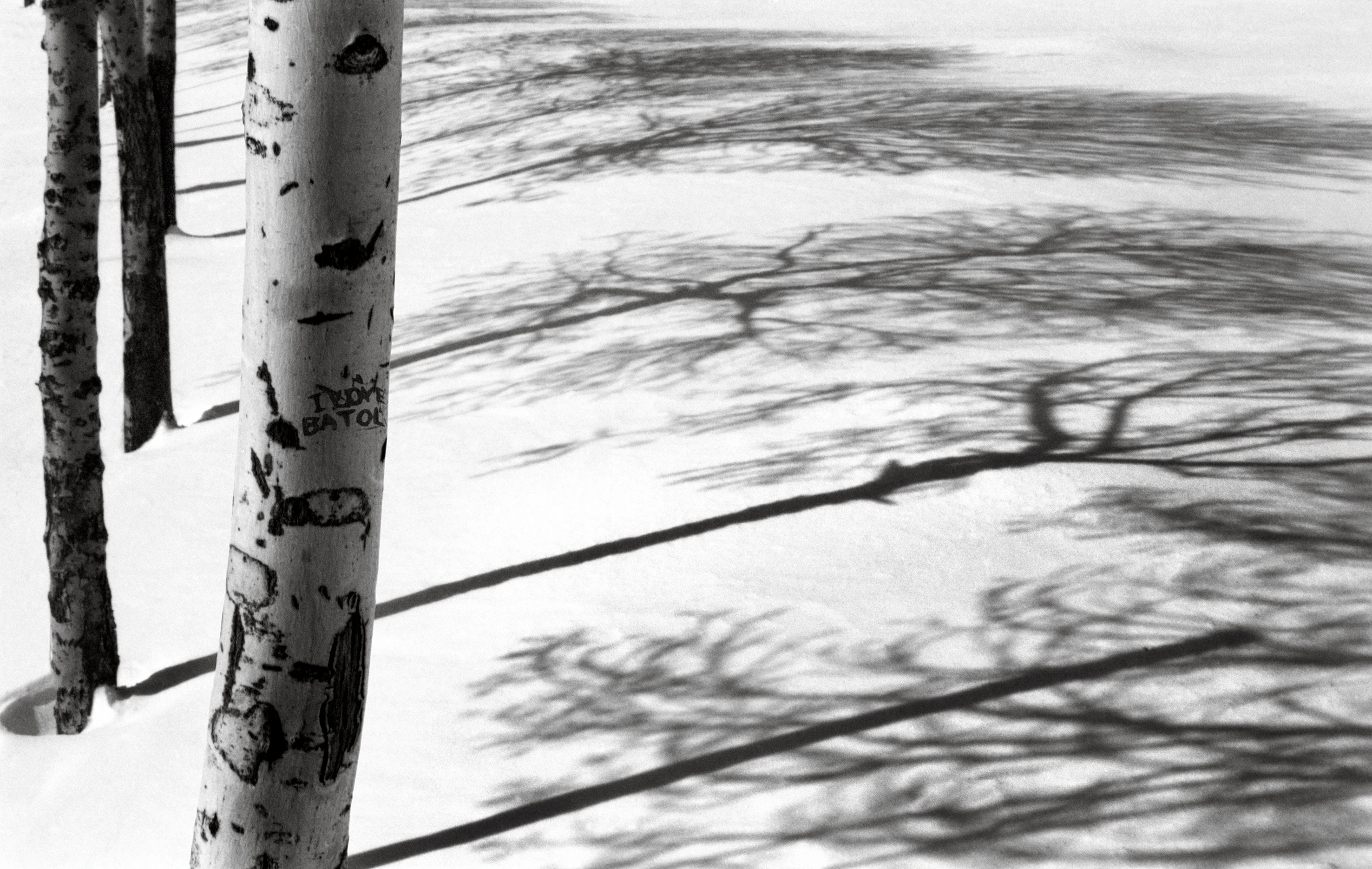 Snow no.47
