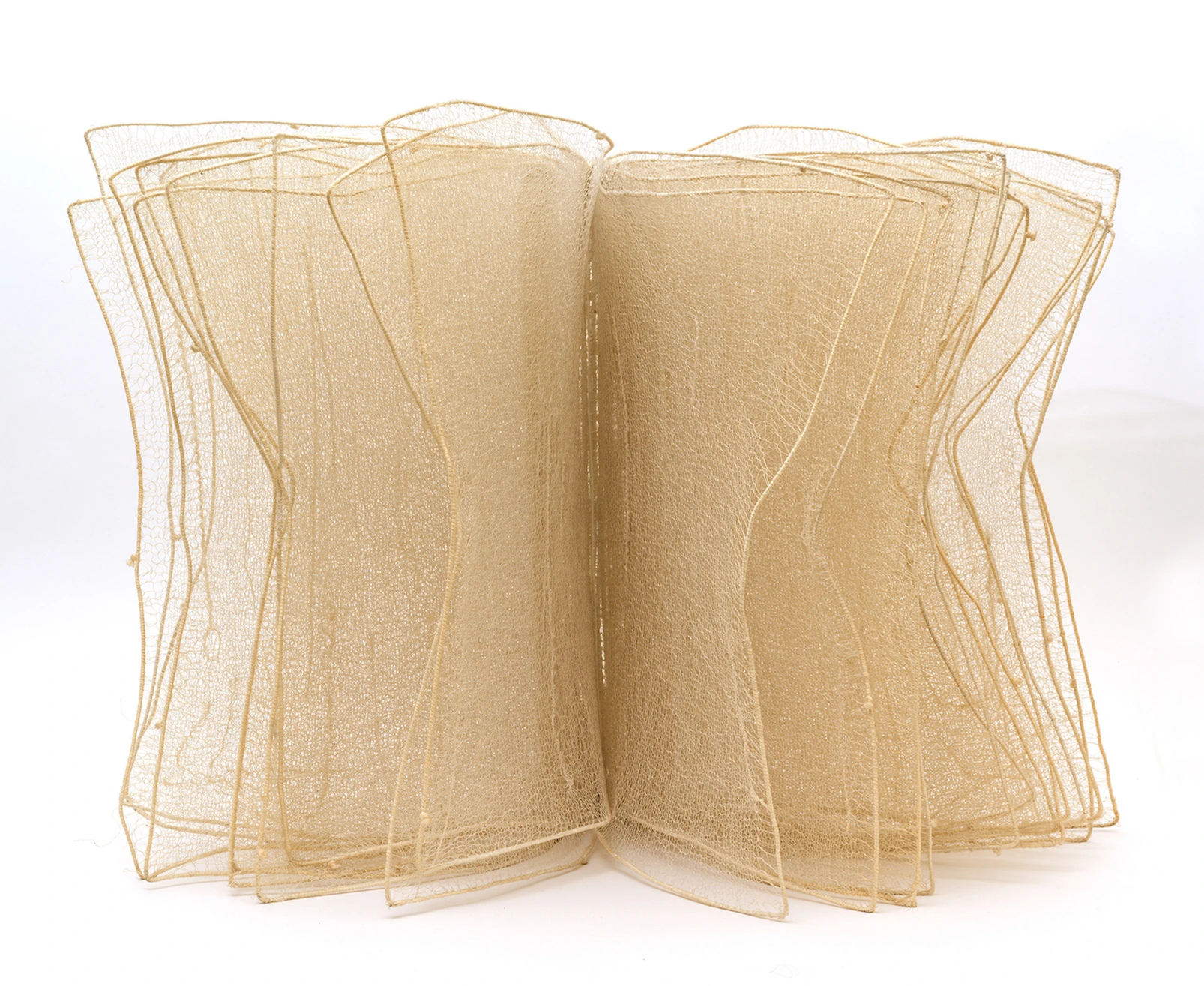 Libro grande bianco
