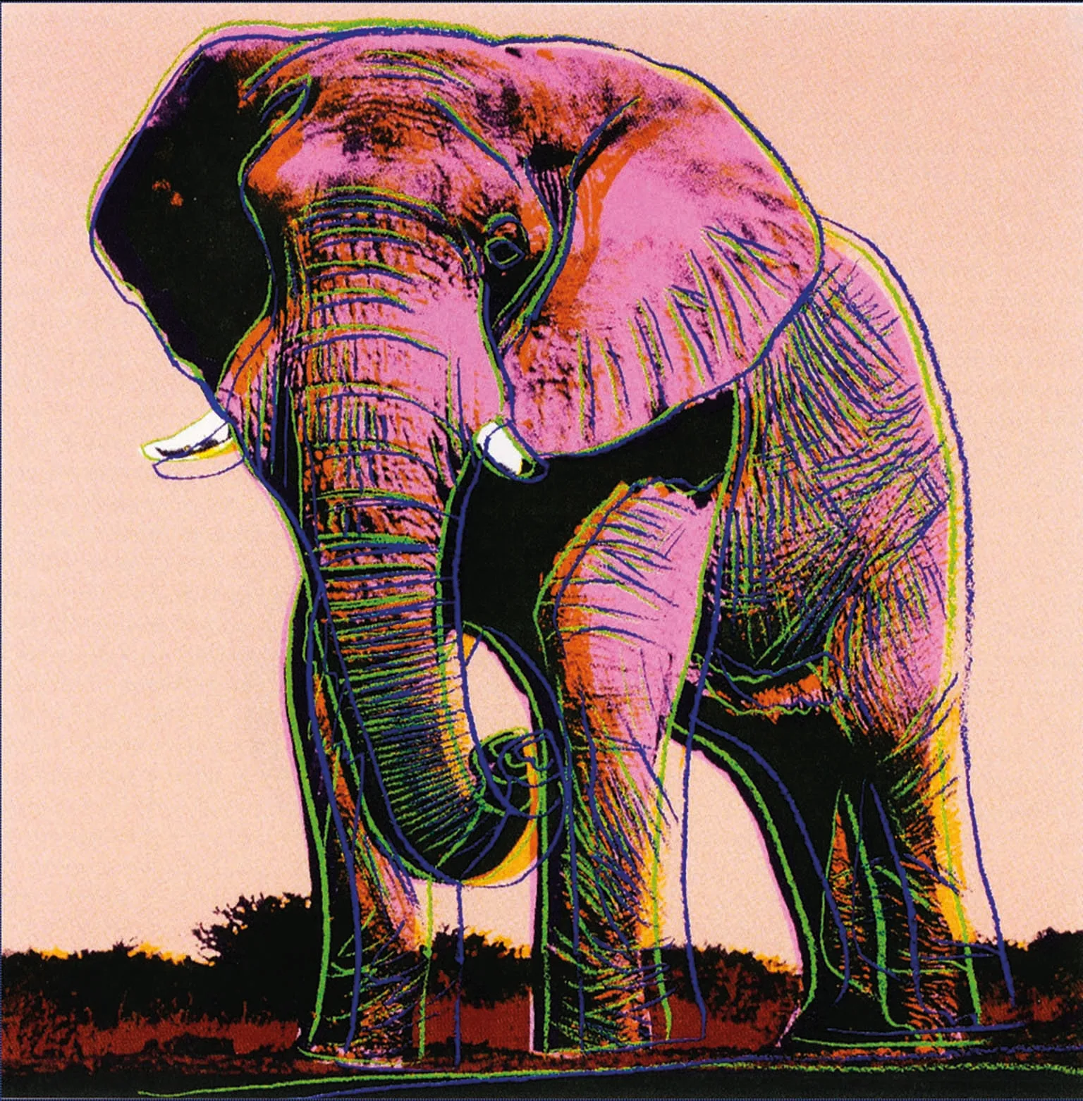 African Elephant