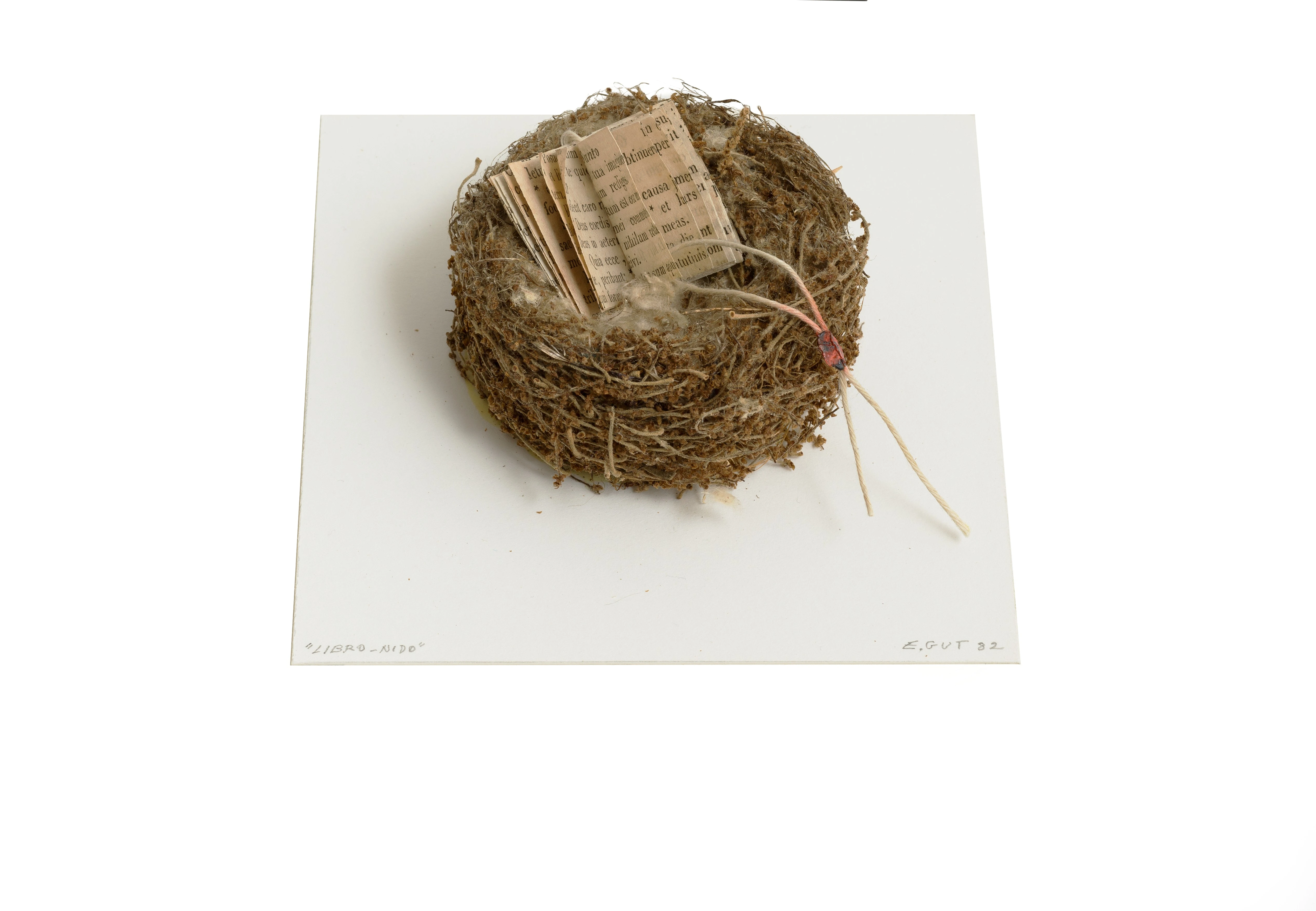 Libro Nido