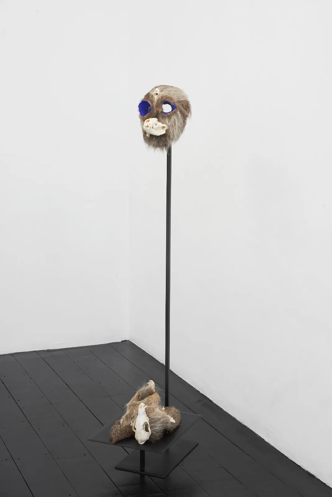 Mask with Badger's Skull and Roe Deer's Vertebra and Shoes with Fox's Skull