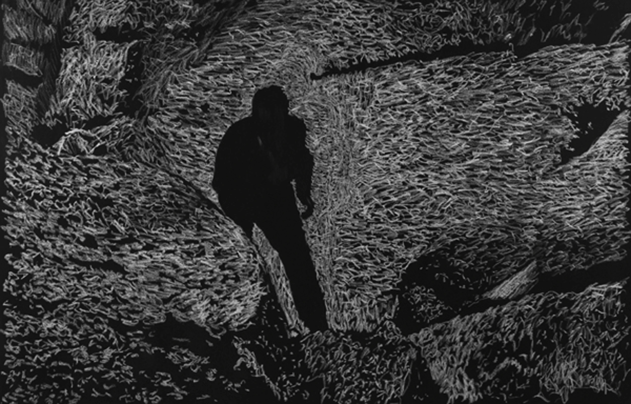 video Double Noir