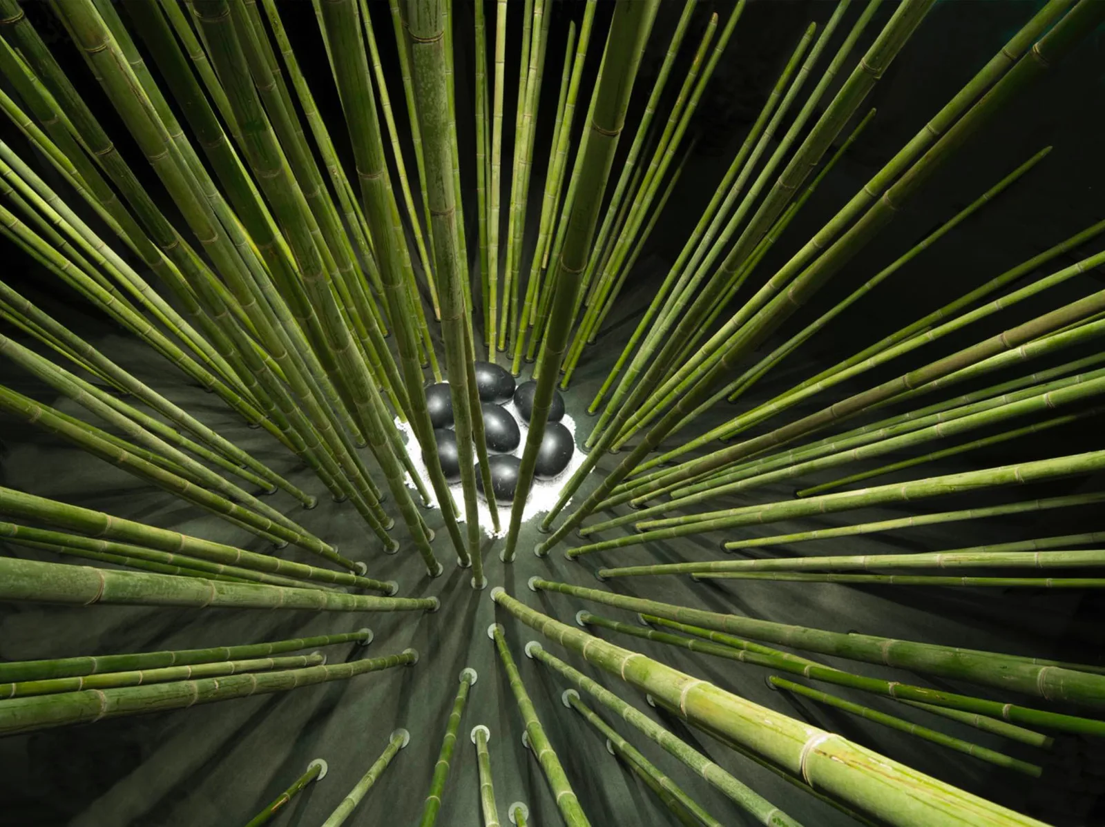 Black Bamboo