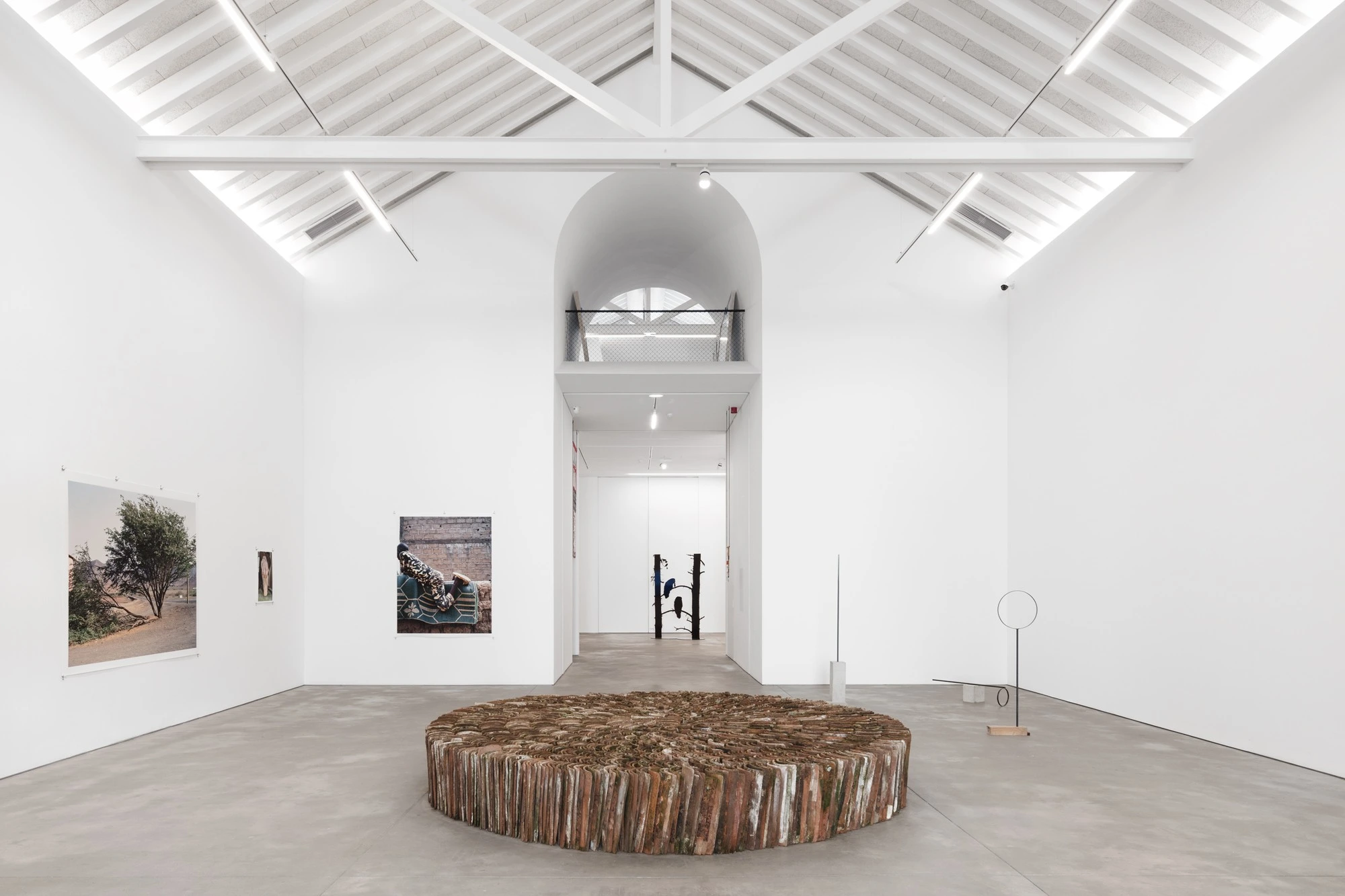 Galeria Francisco Fino