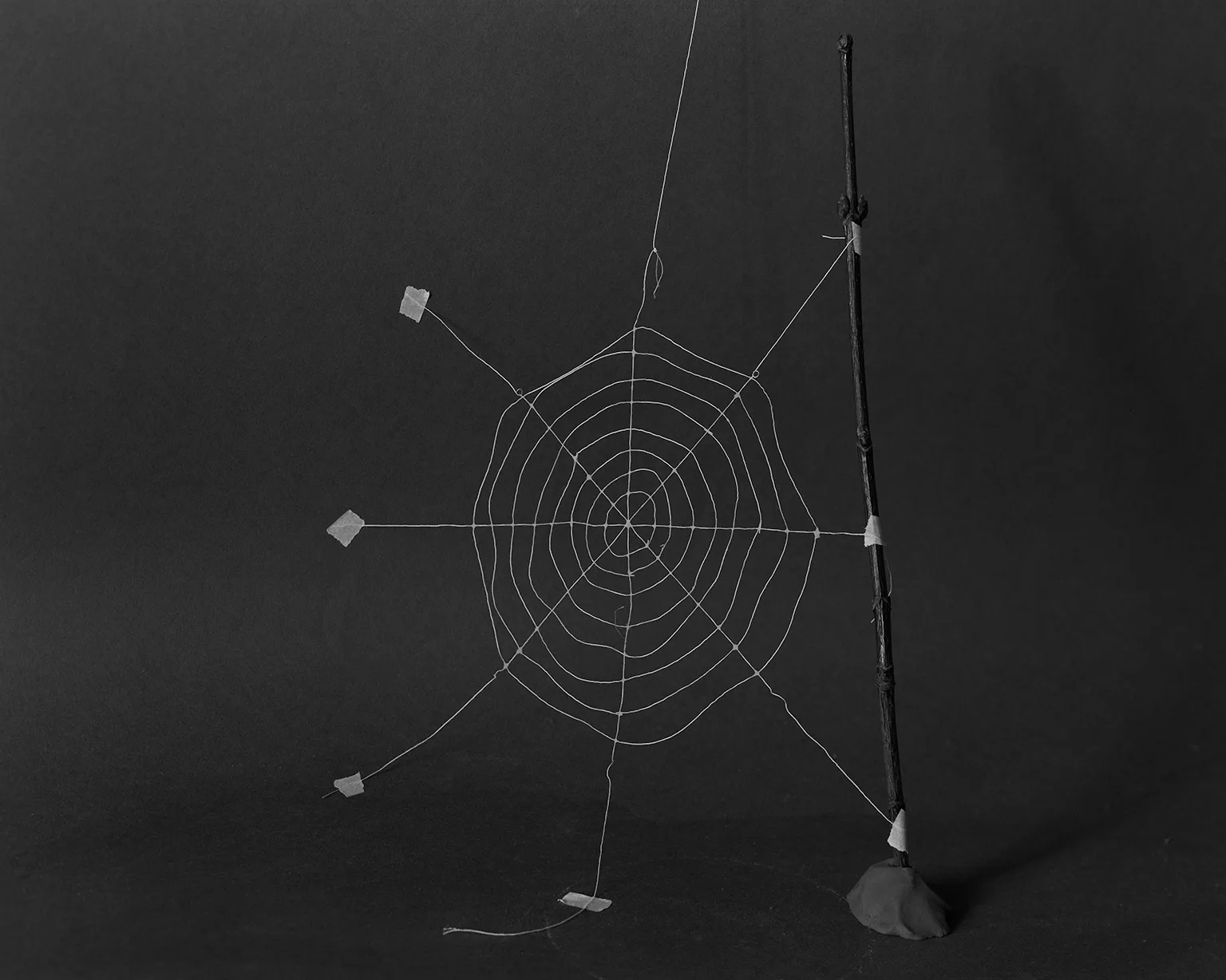 Attempt to build a Spider web, cotton wire and glue.