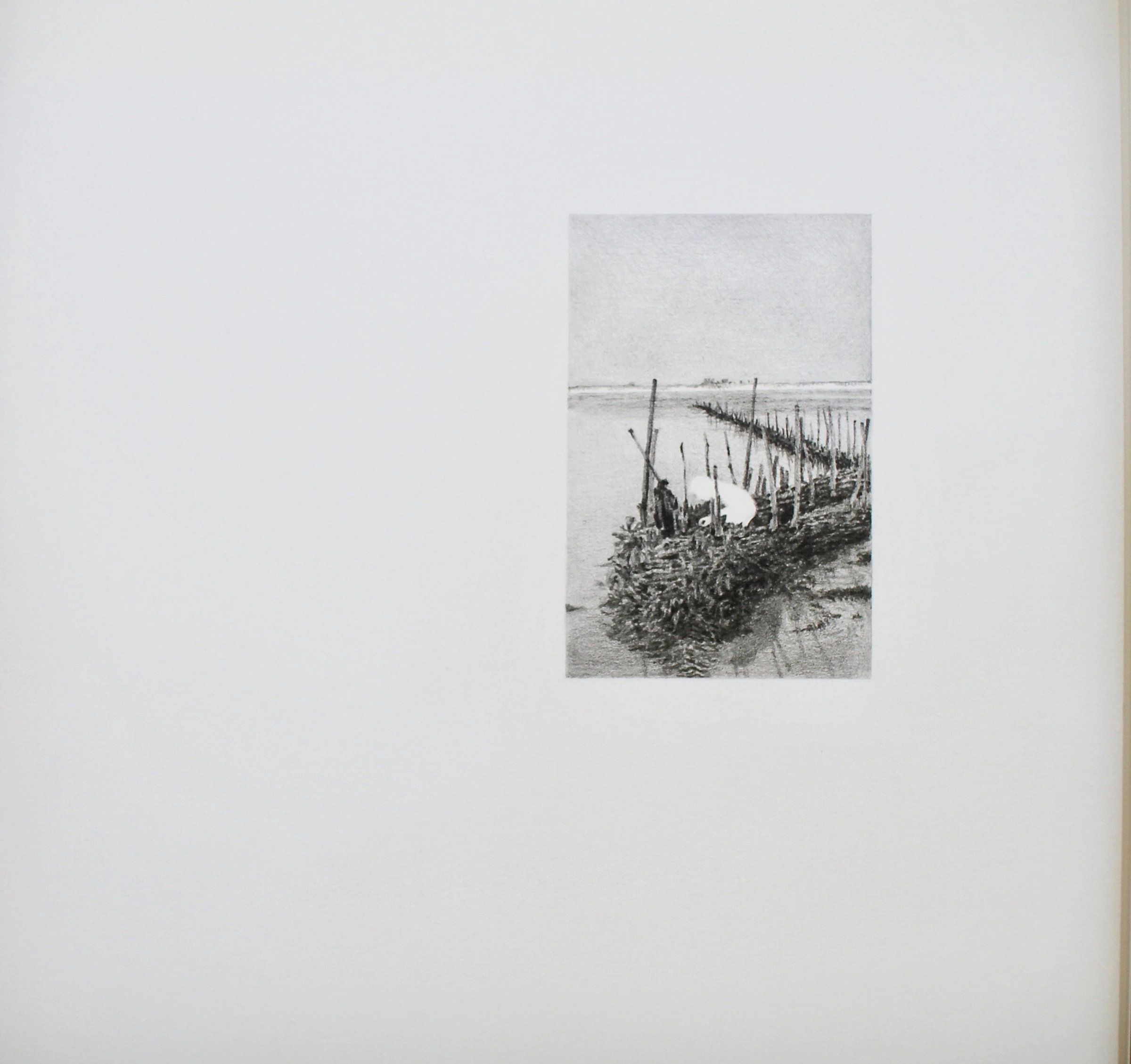 Vue sur Jersey N.9