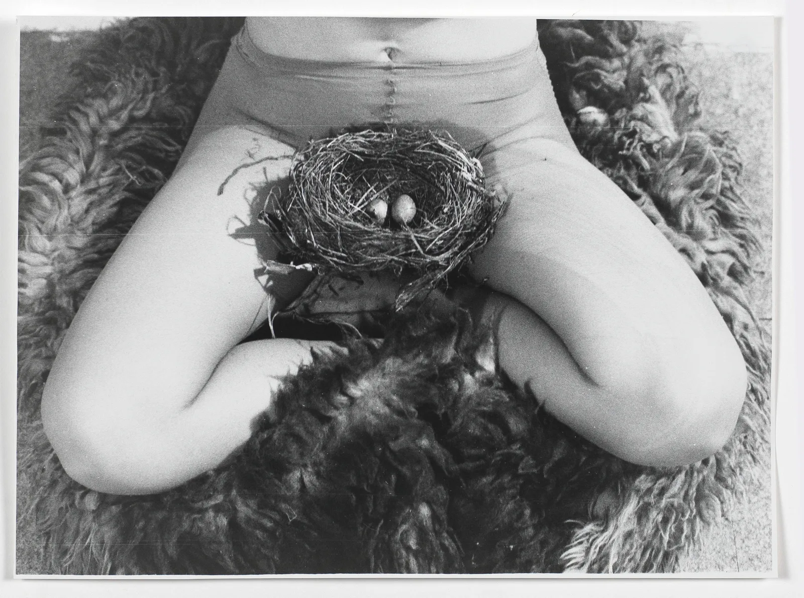 Nest