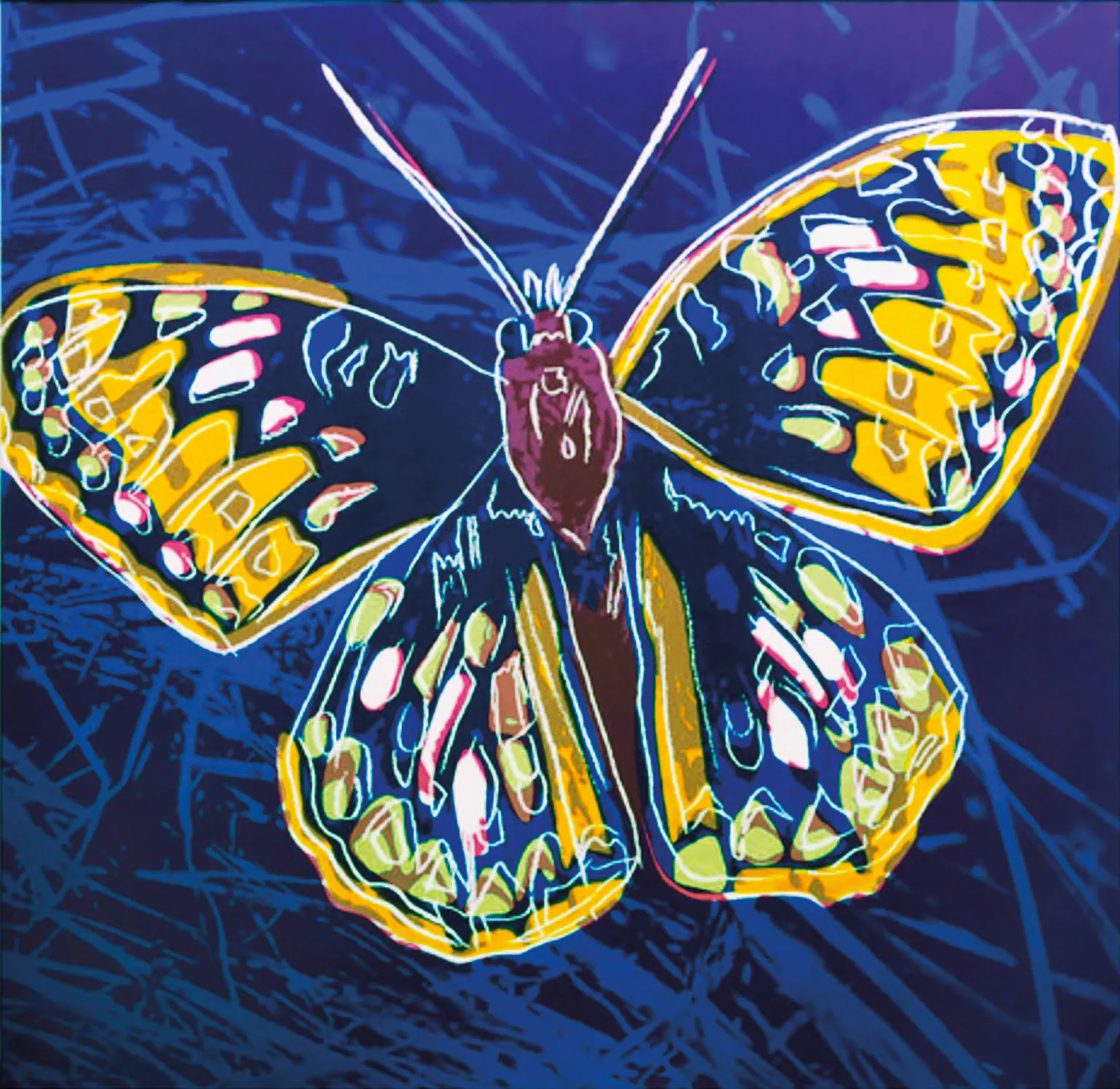 San Francisco Silverspot