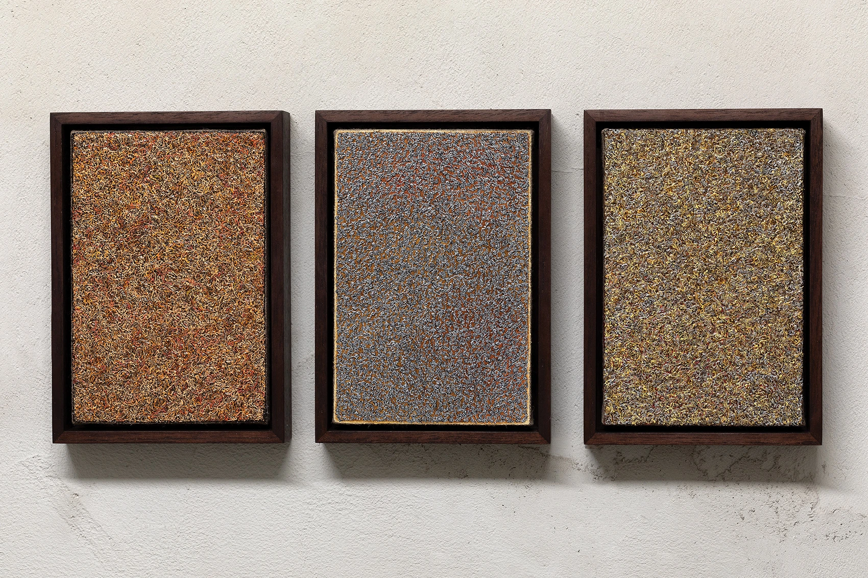 Vectorial Miniature (Triptych)