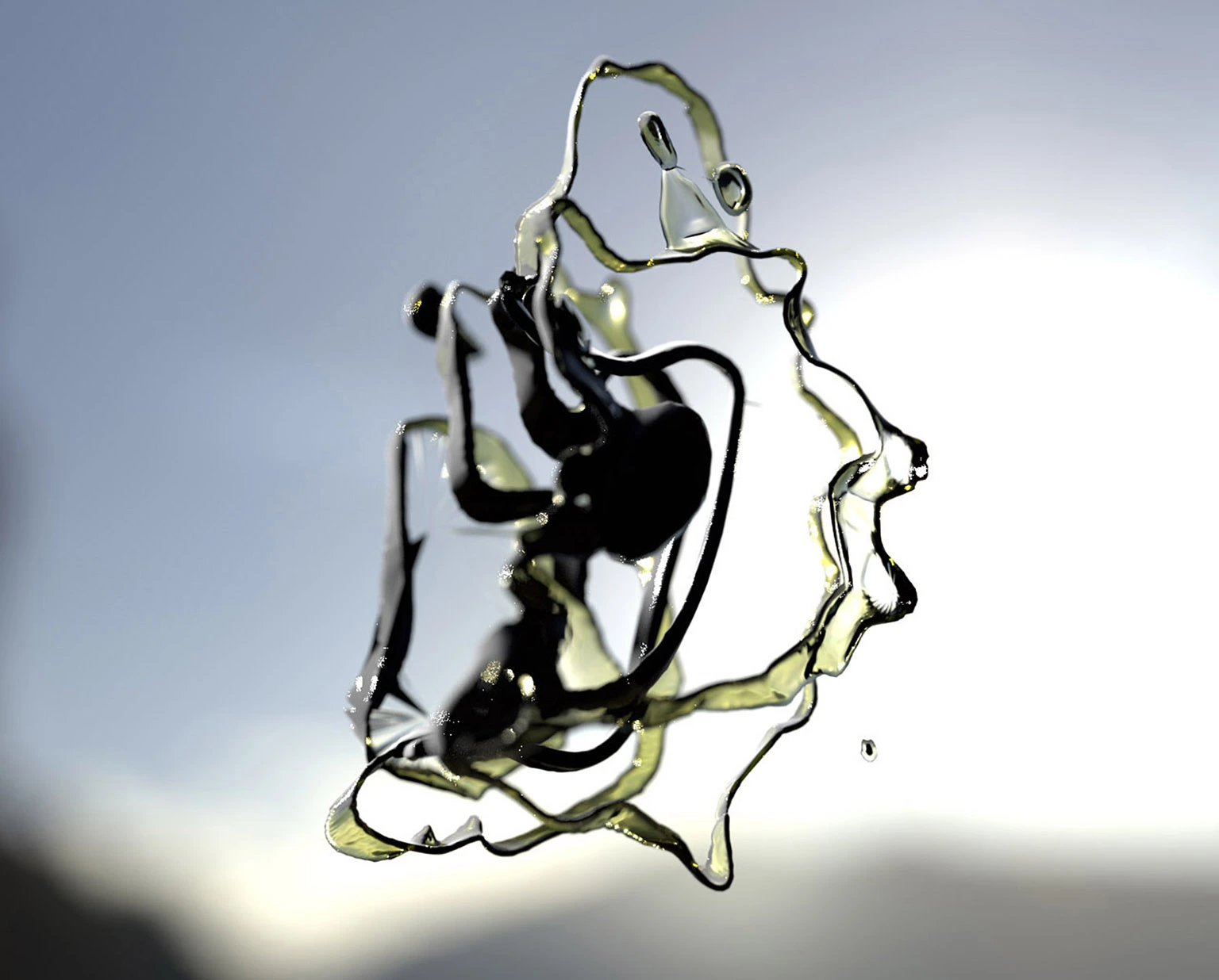 Shape of mind (Muybridge) 3