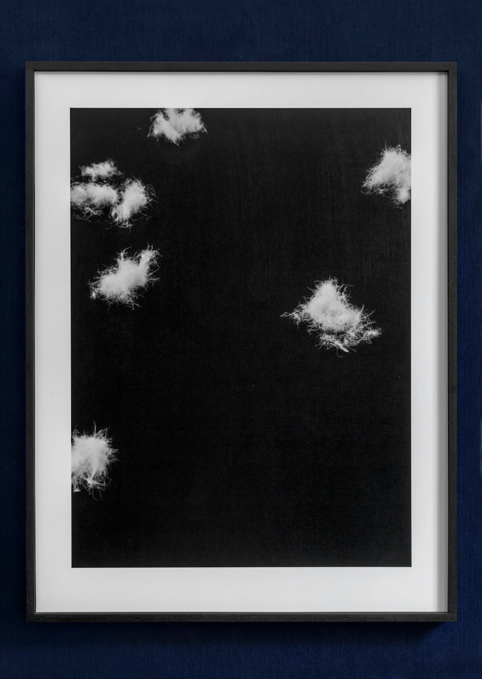 Firmament