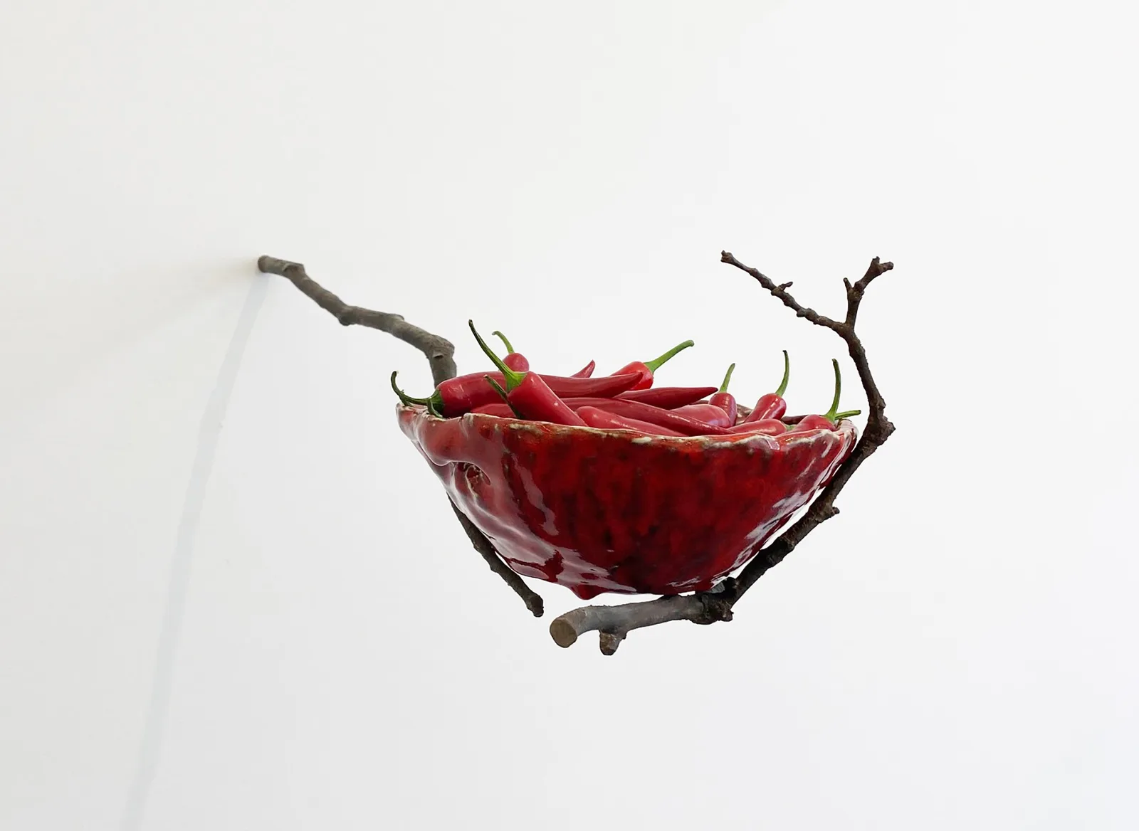 Suspended Botanics