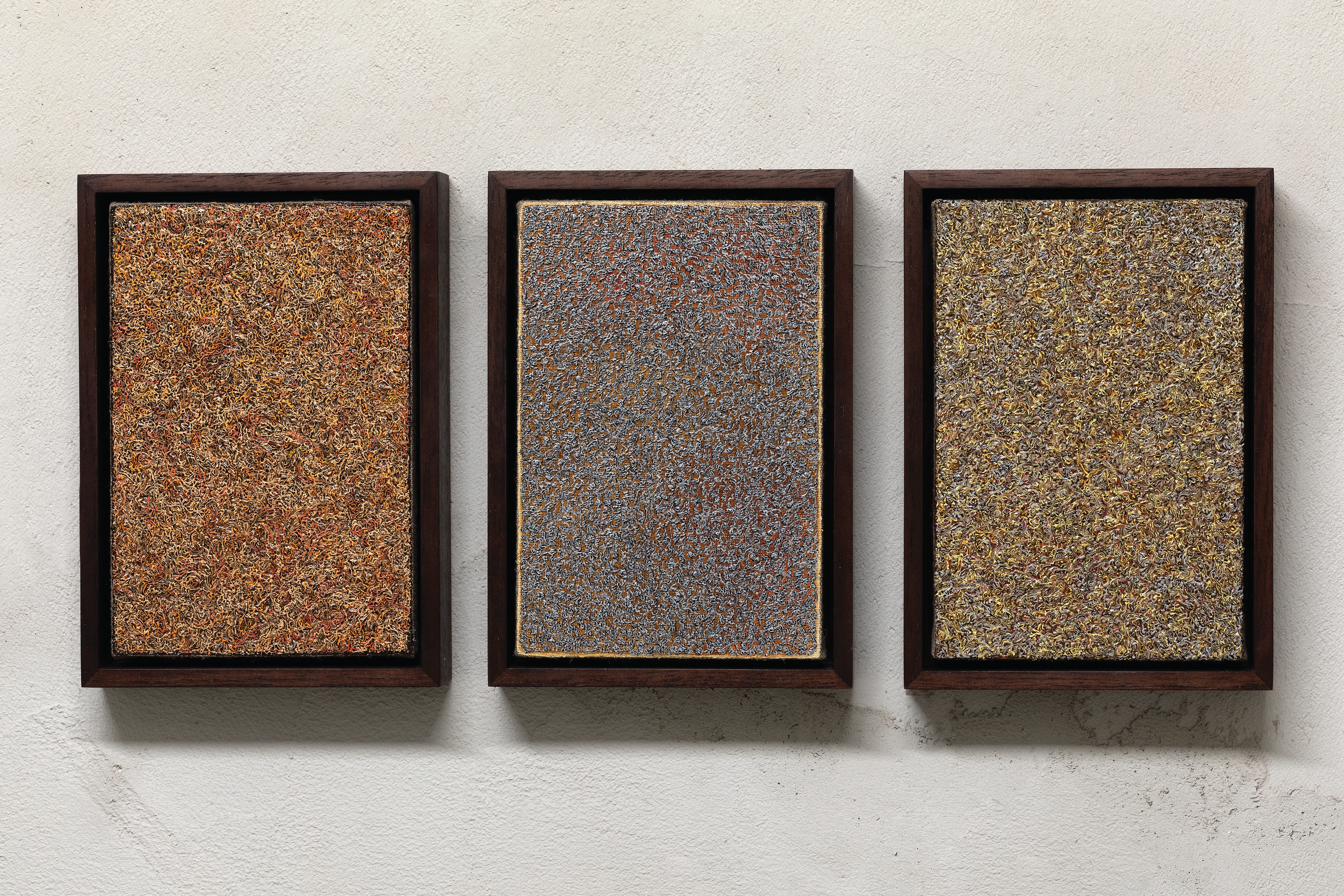 Vectorial Miniature (Triptych)