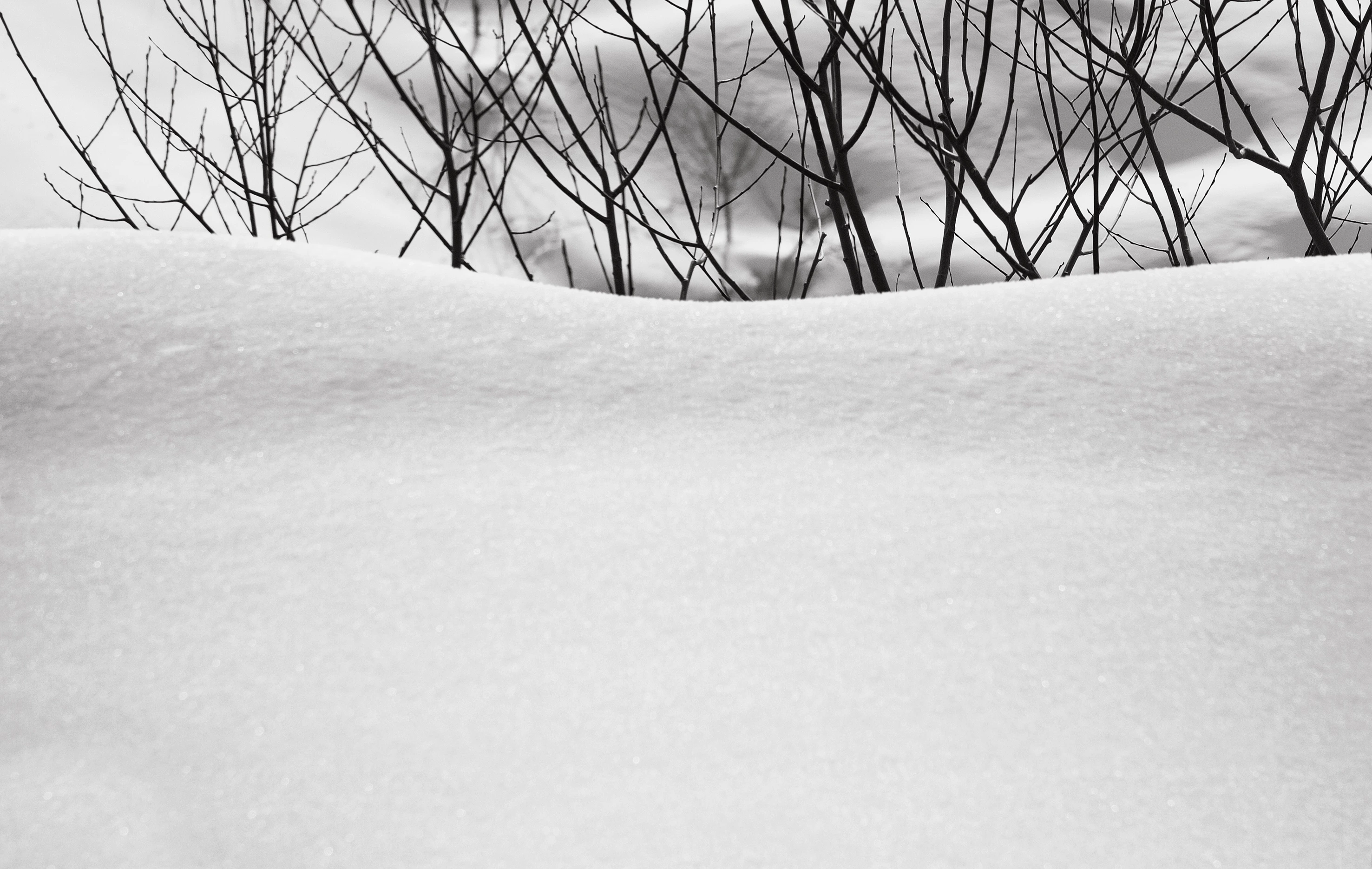 Snow no.33