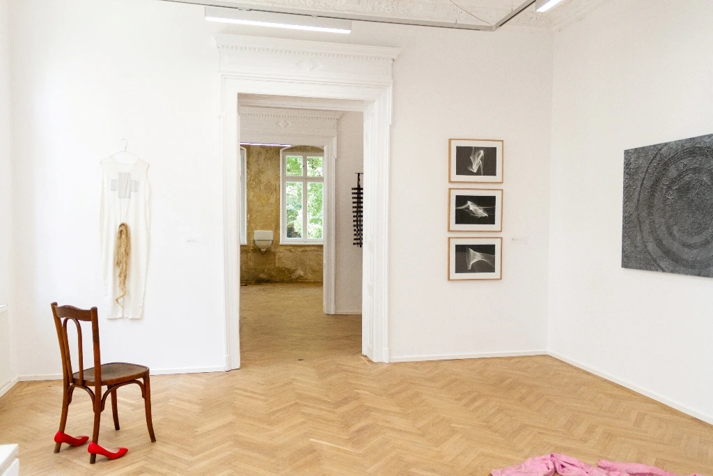 ANCA POTERASU GALLERY