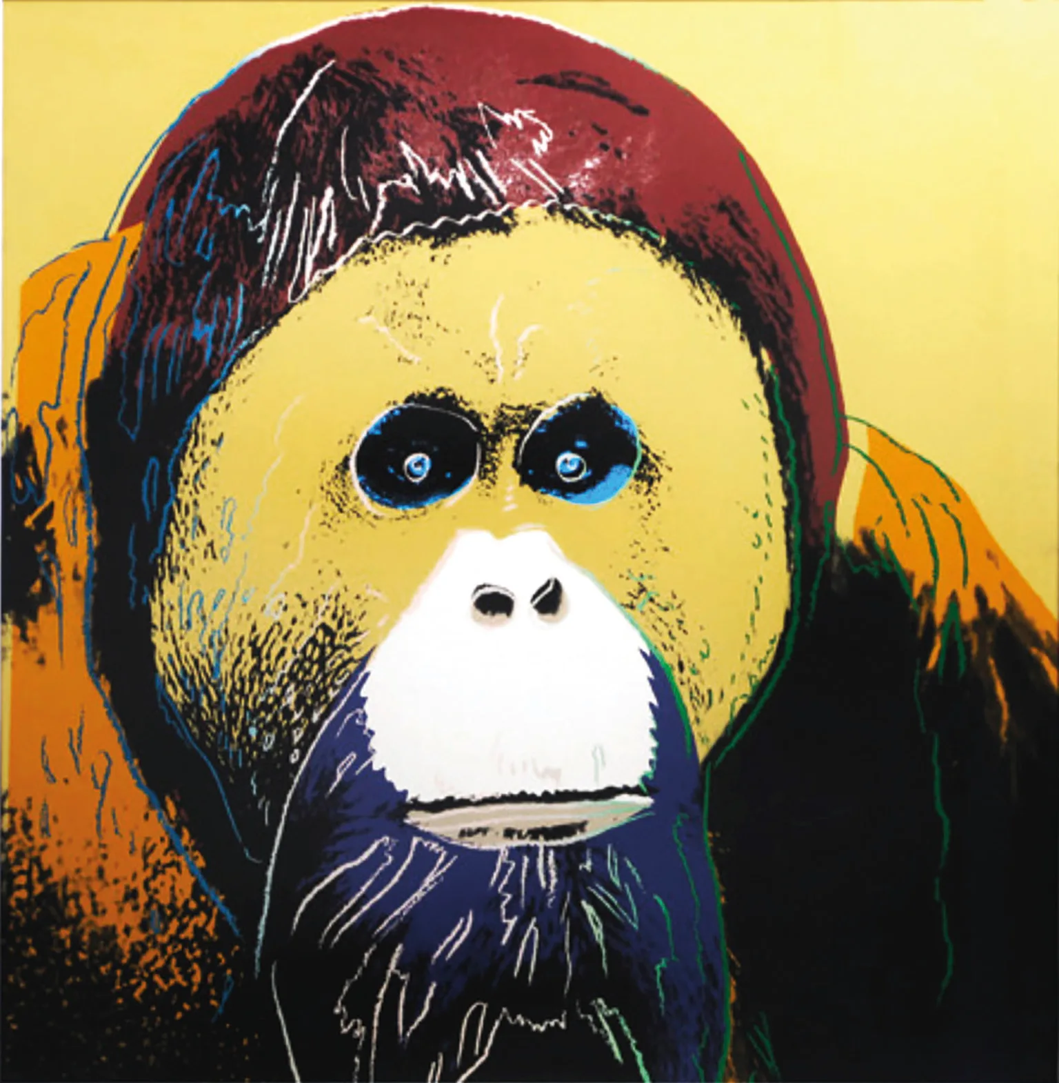 Orangutan