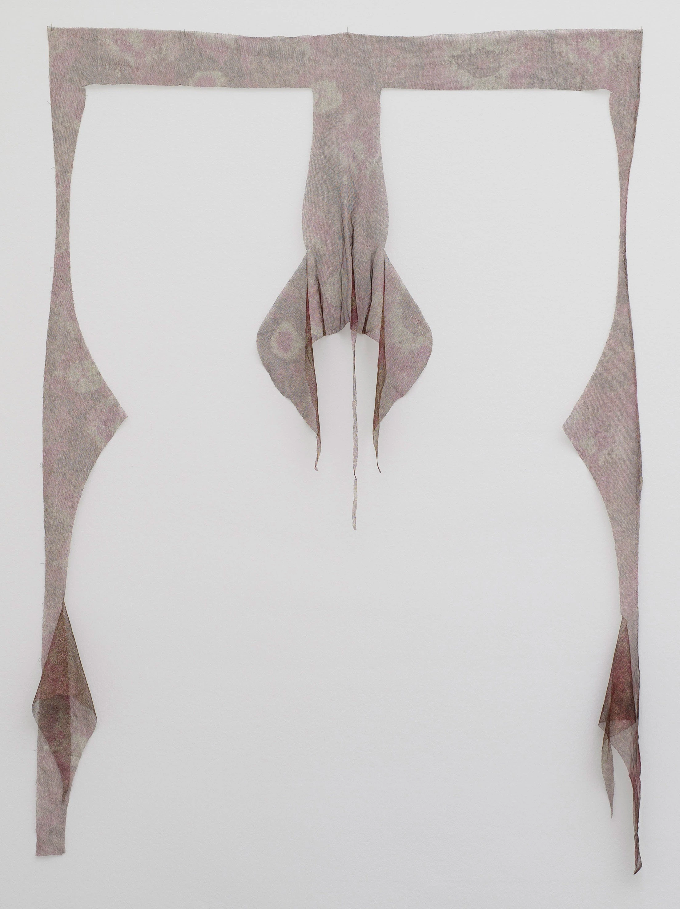 Medusa Brancusi