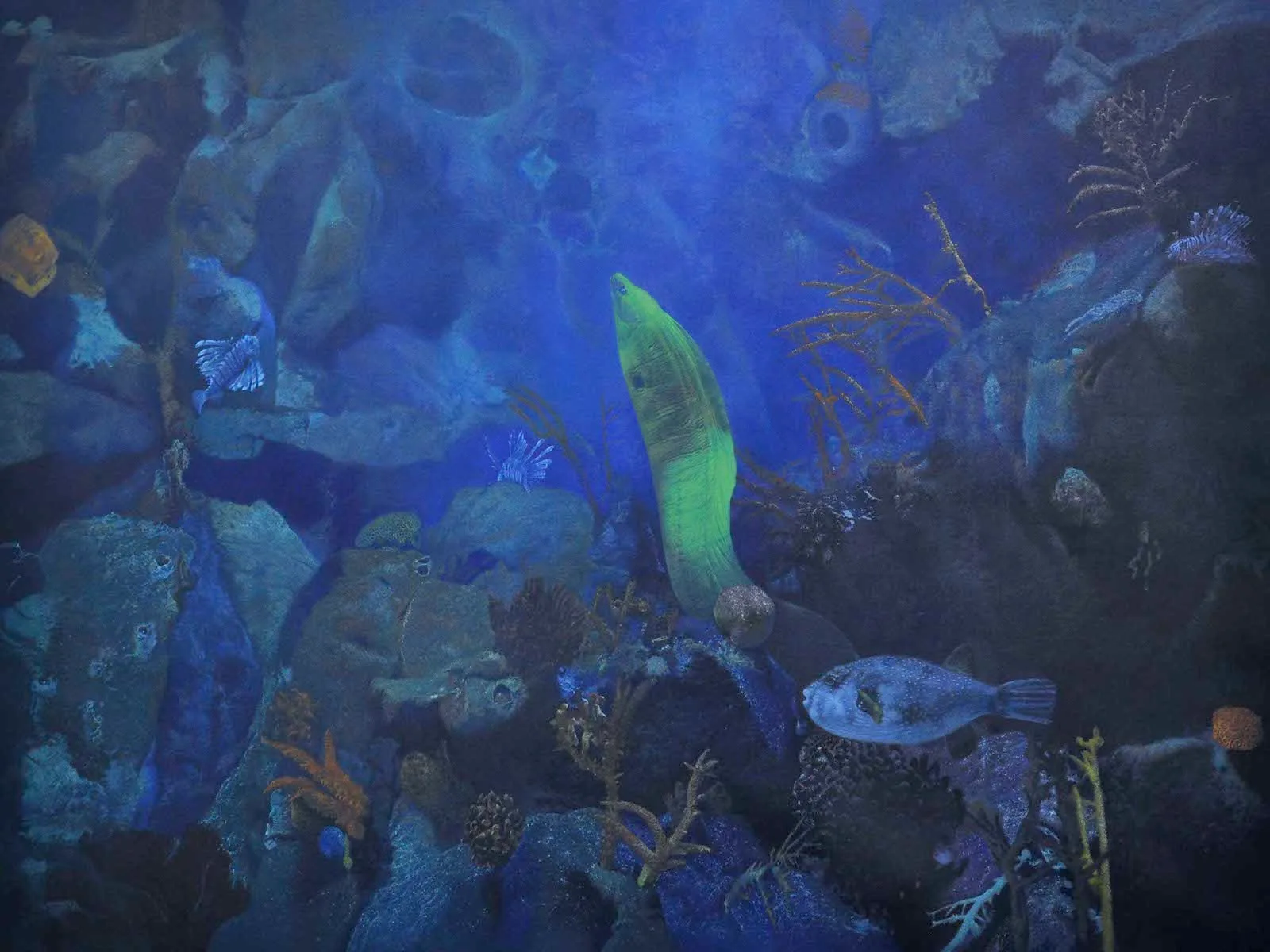 Aquarium