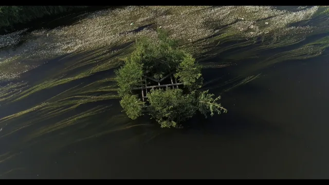 DANUBE_WOODLAND_RAFT