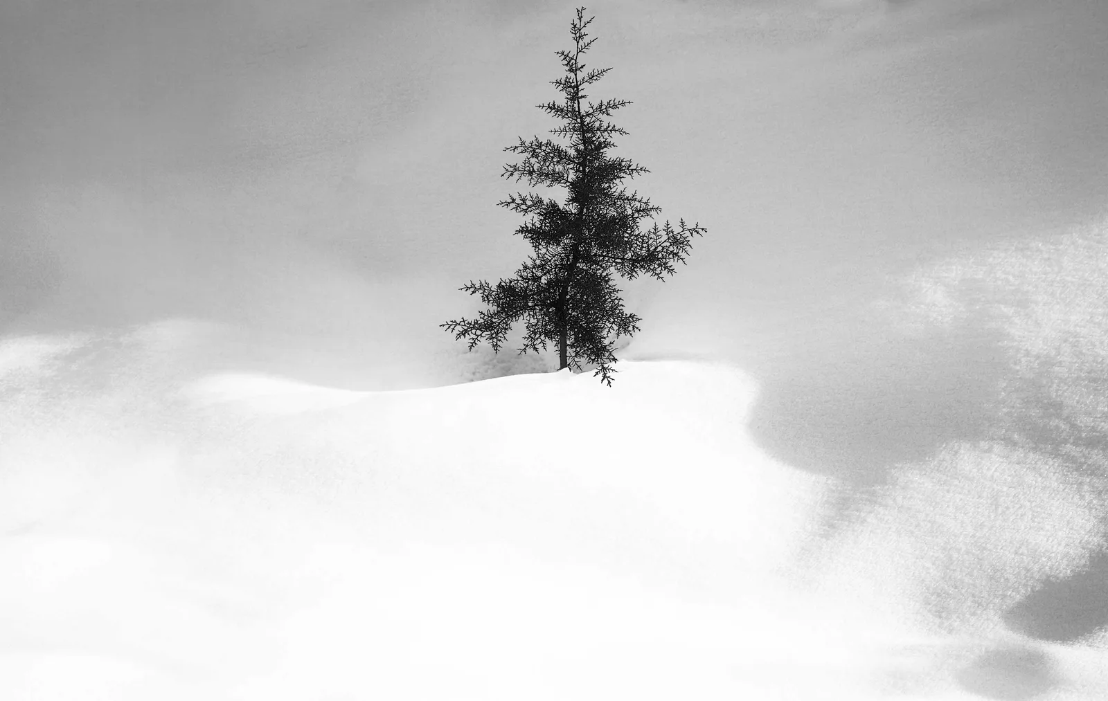 Snow 34