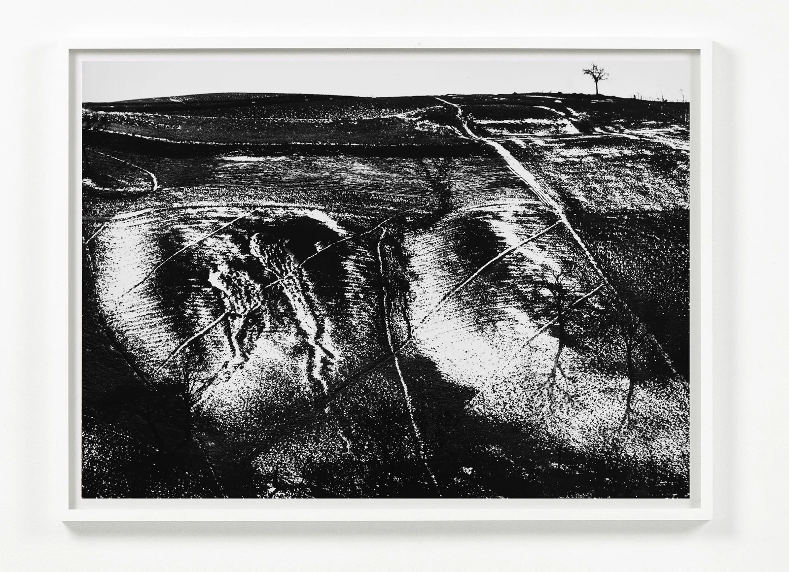 Metamorfosi della terra, anni '60