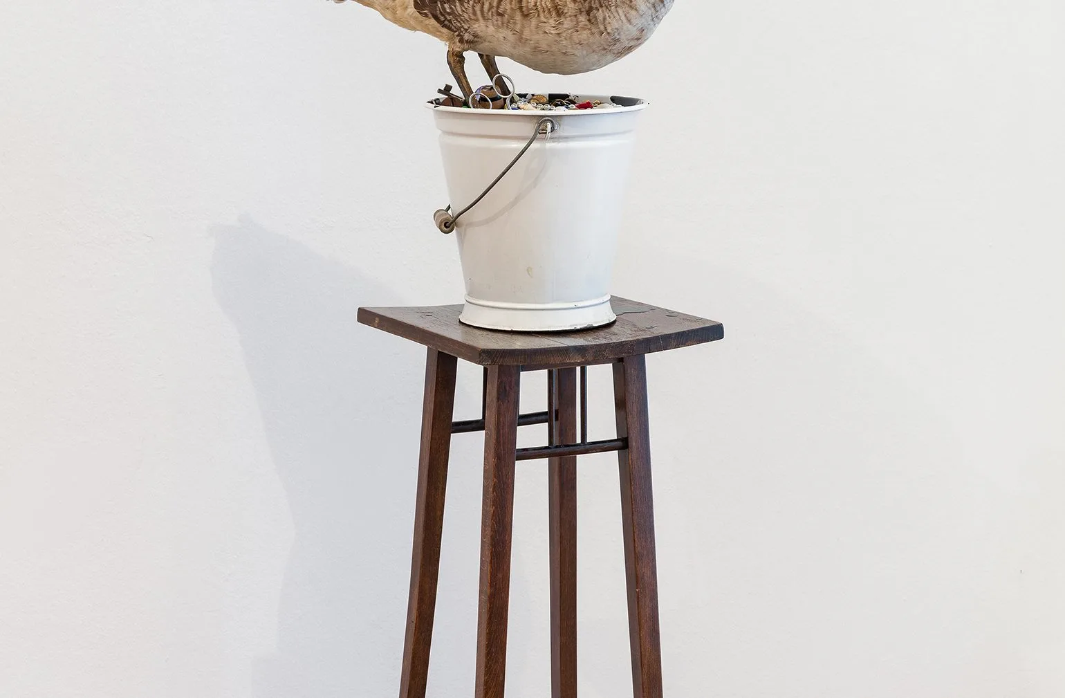 An Account of the Collector in a White Bucket