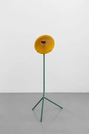 Untitled (cabeça)