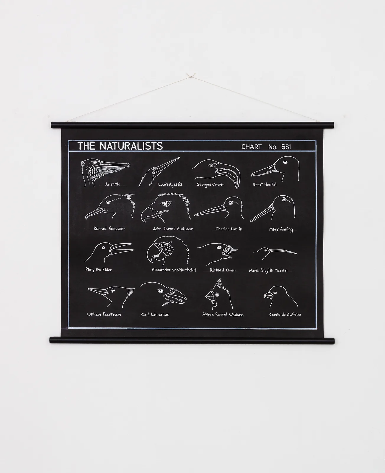 The Naturalist