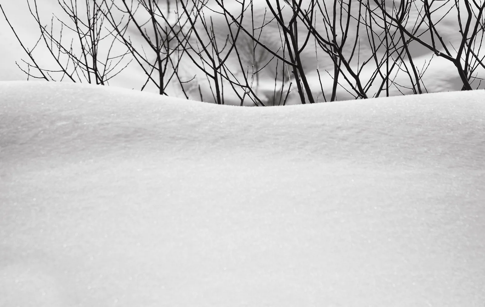 Snow 33