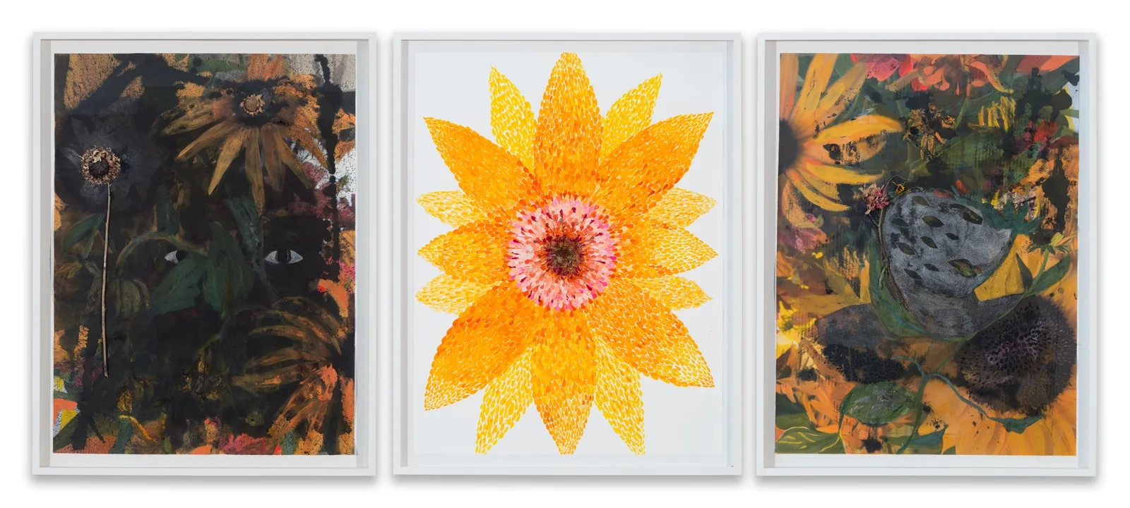 Farrar’s garden to 2,24,8, 2019/2020