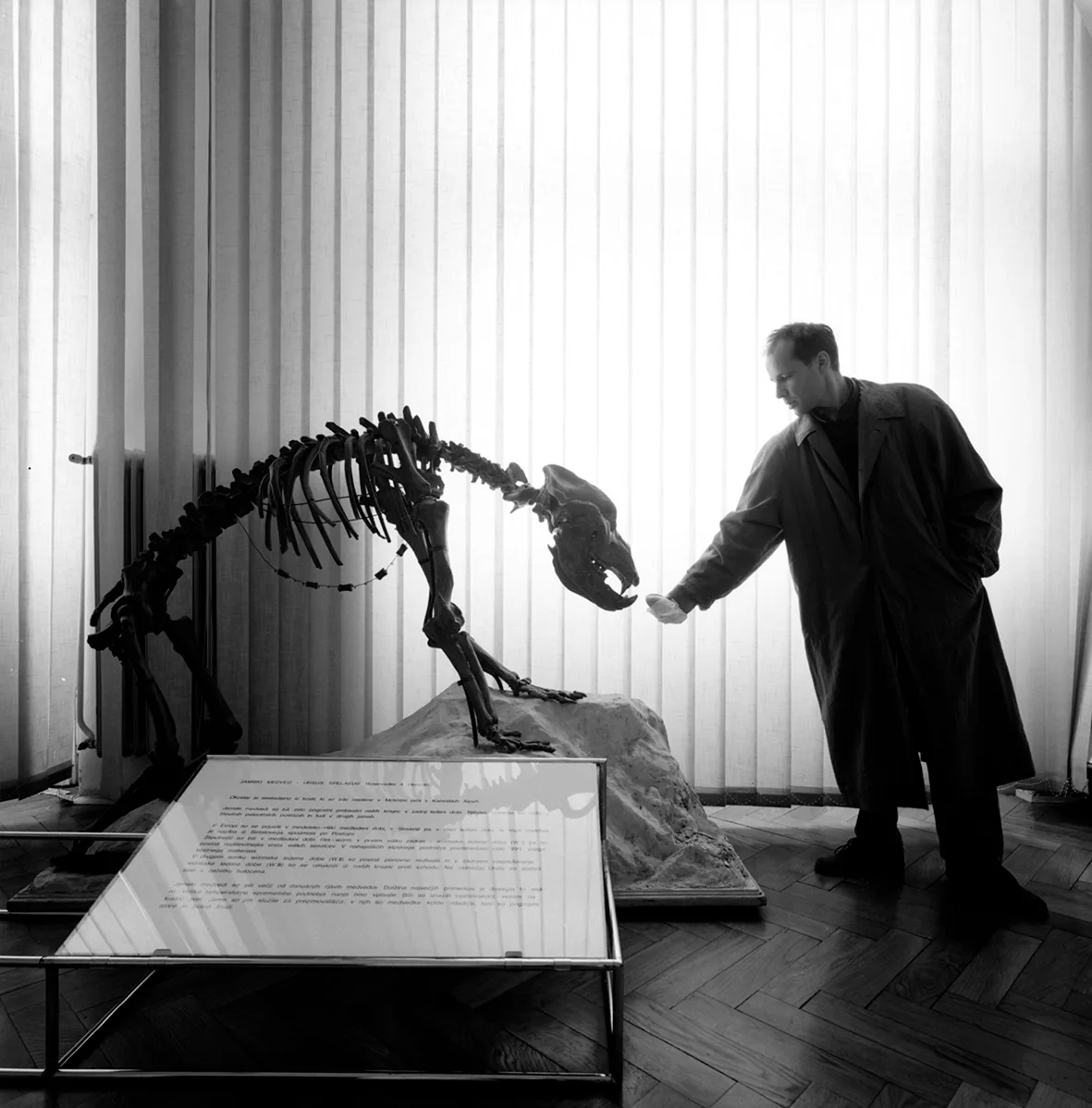 Visit II. (Feeding a Bear, Meditating with a Mammoth, Sleeping with a Deer)
