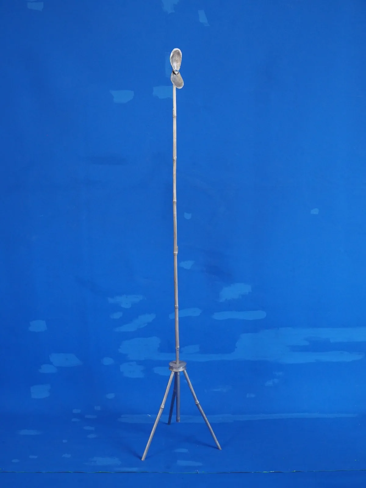 Mussel michrophone