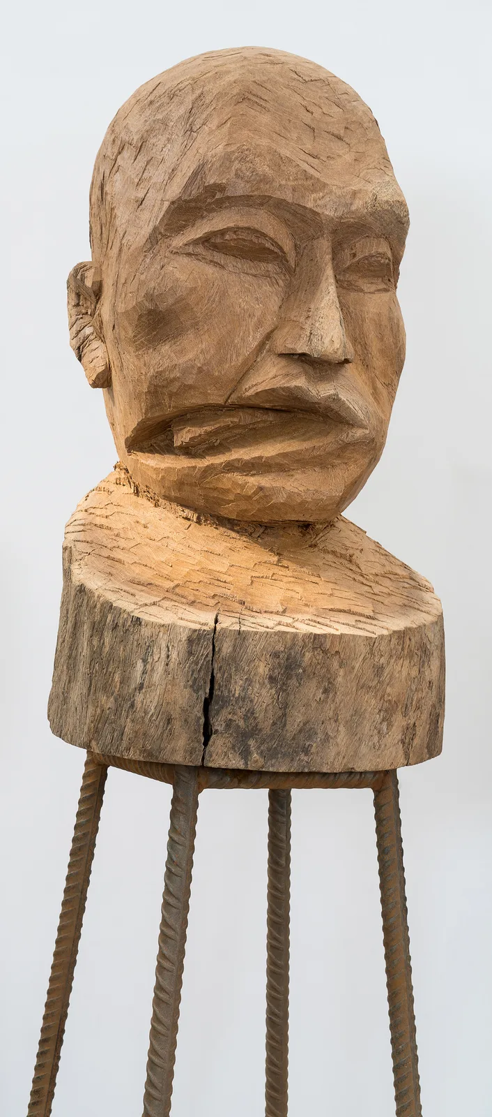 Culture, Another Nature Repaired