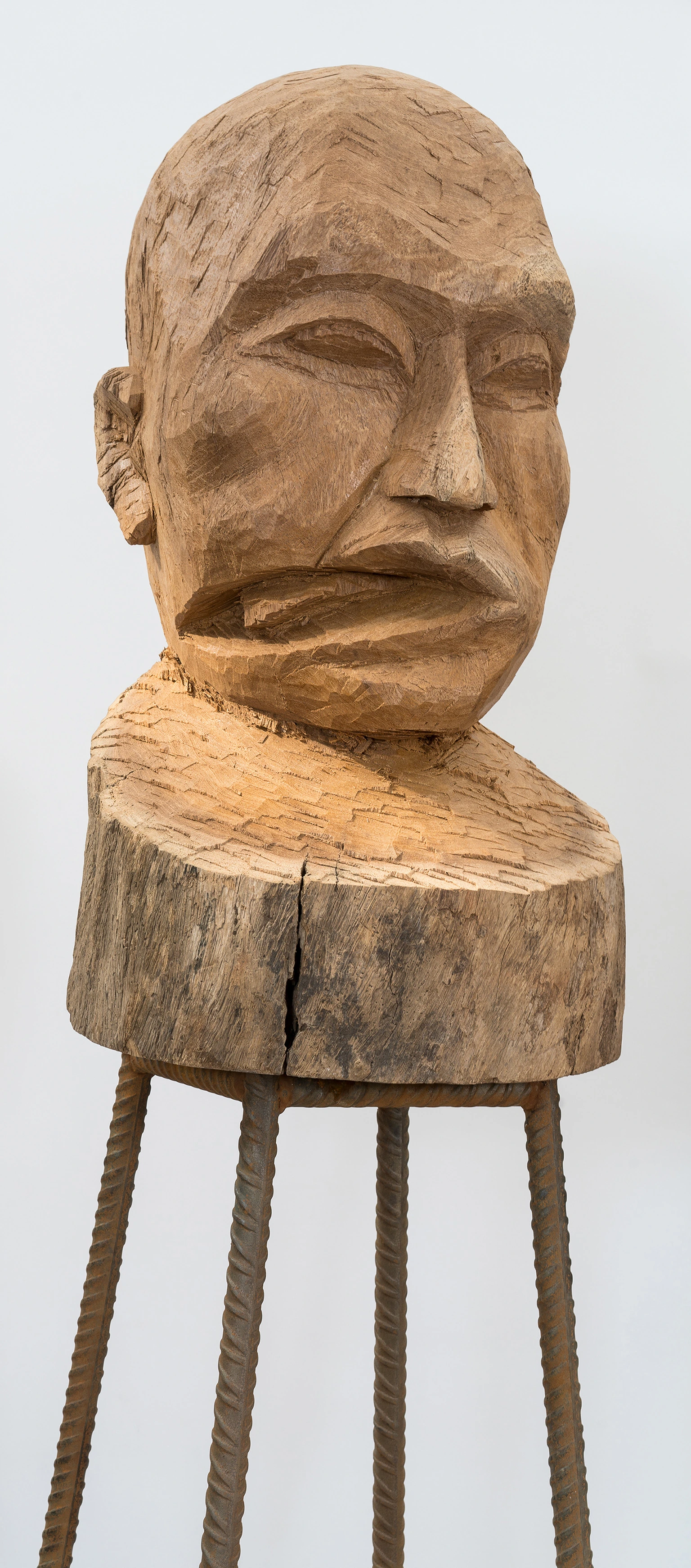Culture, Another Nature Repaired