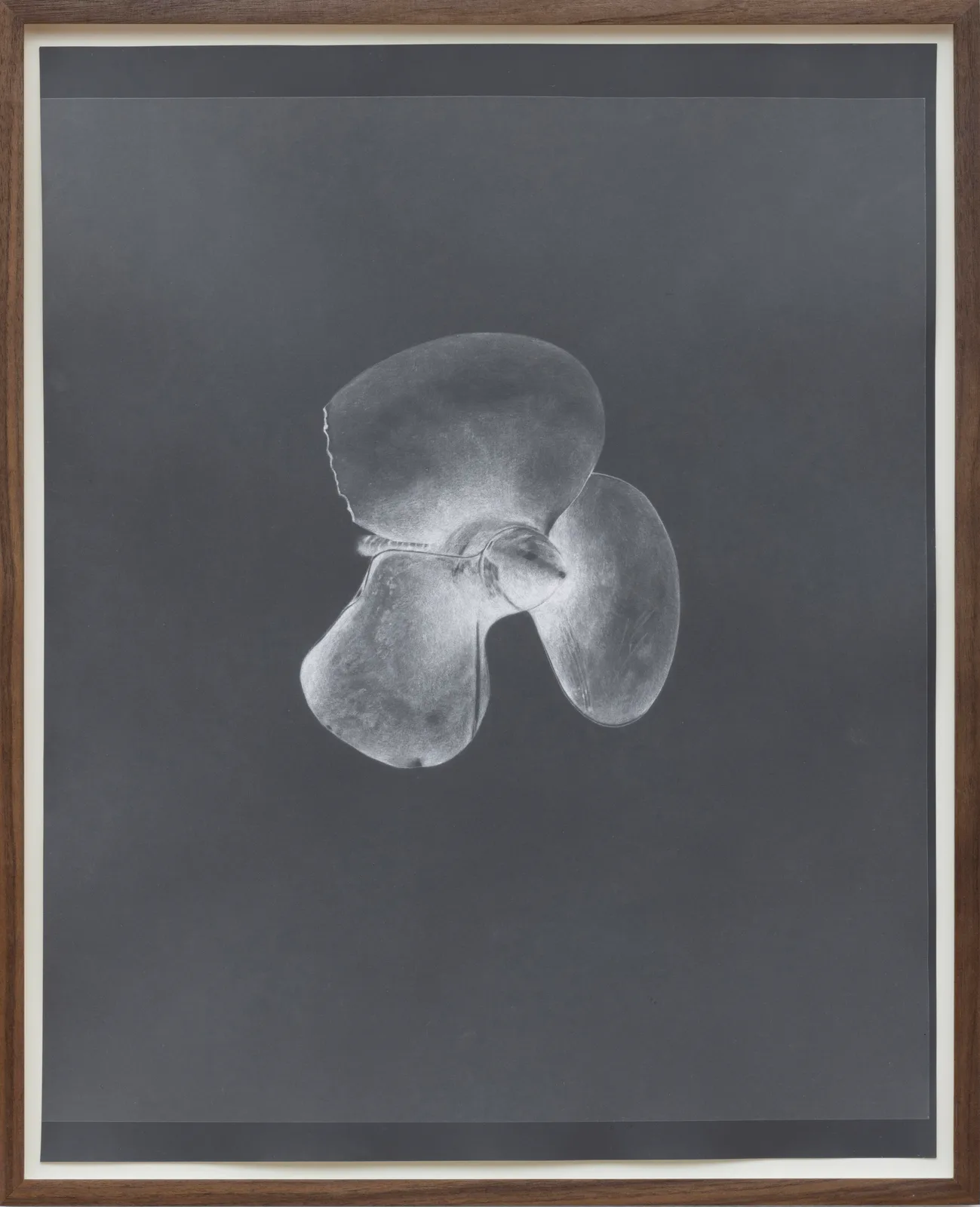 Untitled (Damaged Propeller)