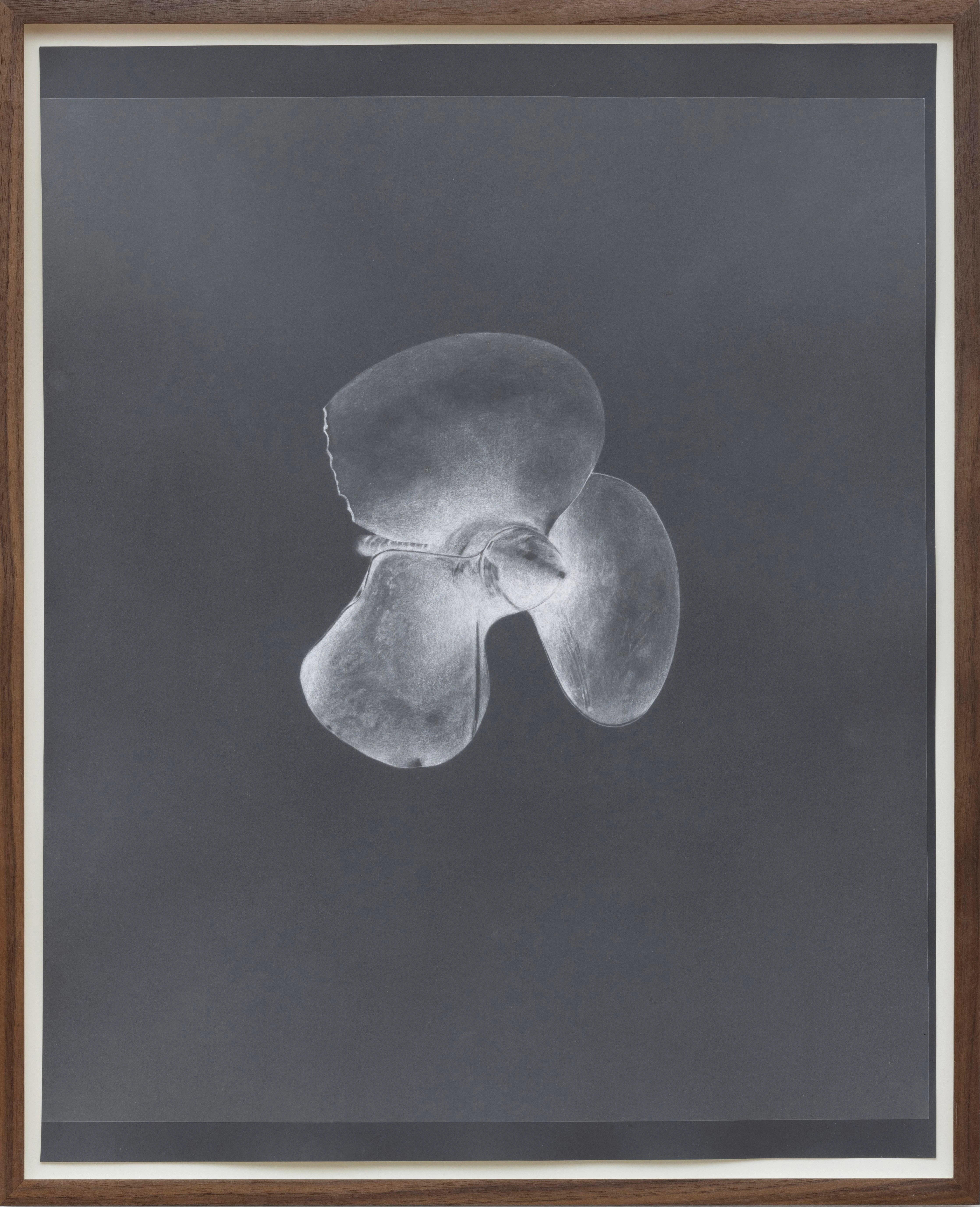 Untitled (Damaged Propeller)