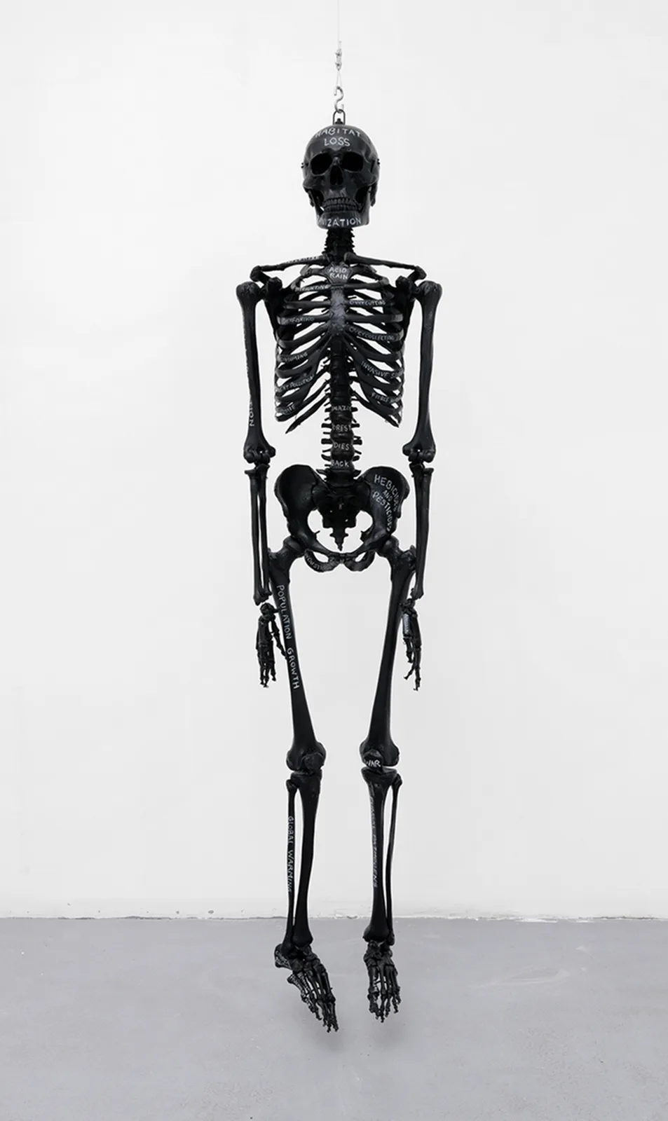 Anatomy of extinction