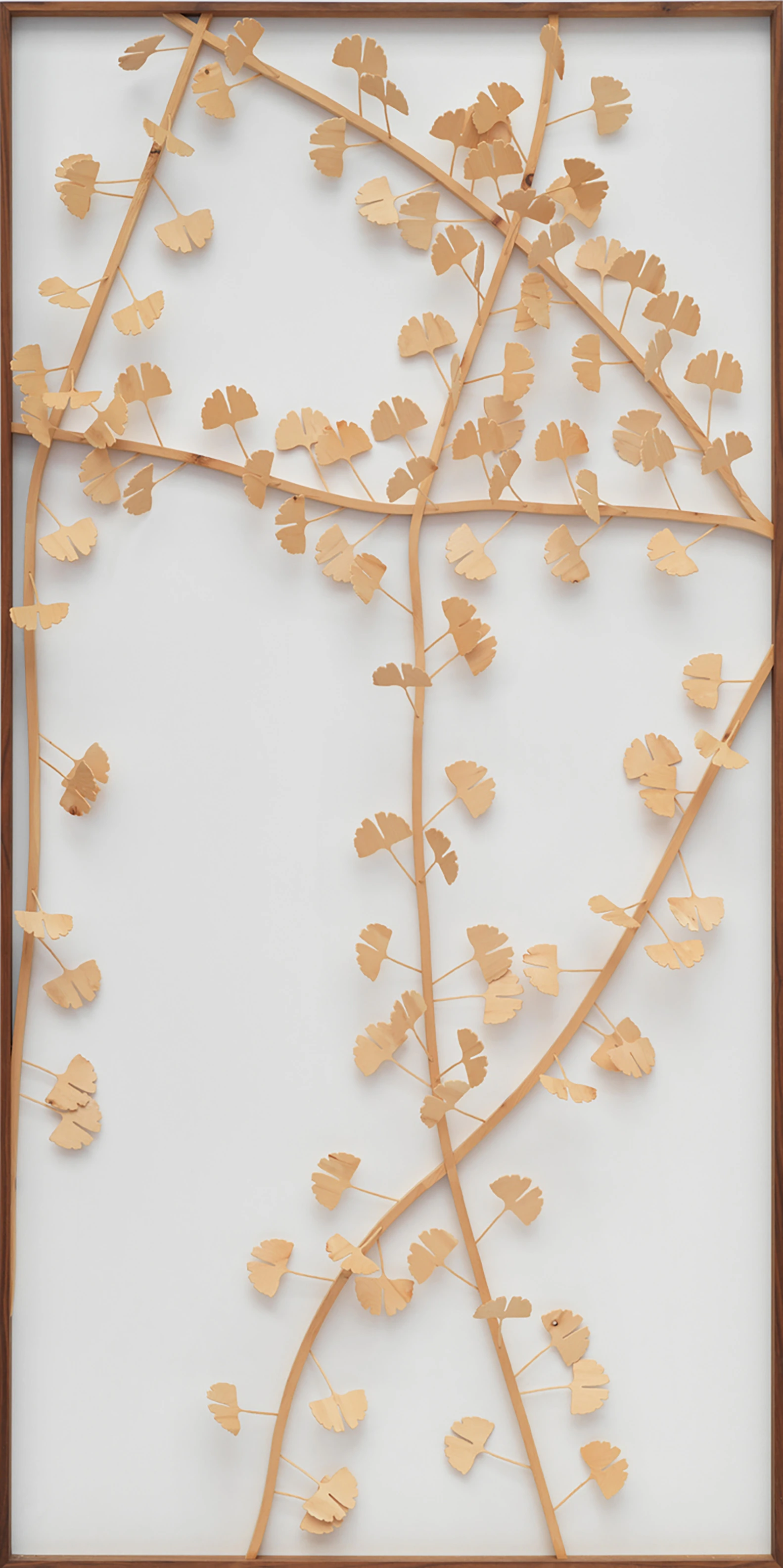 light shines through the forked leaves of the ginkgo tree