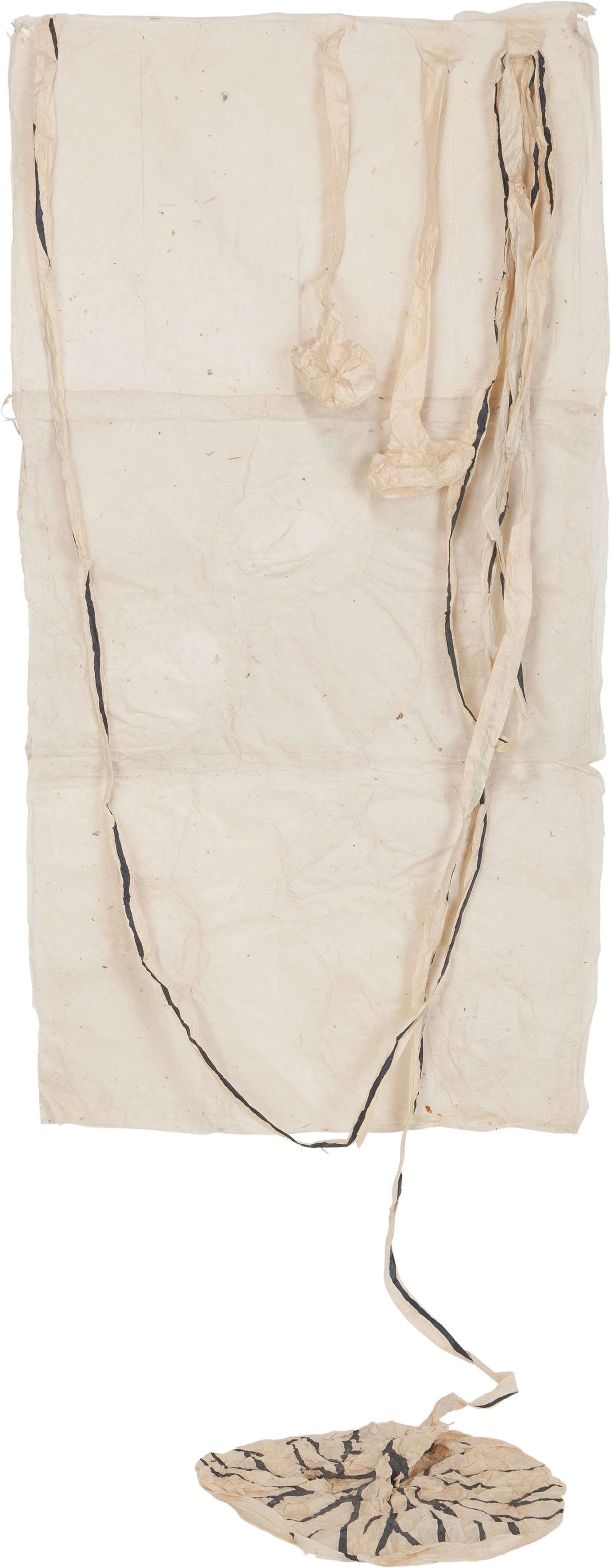 Untitled (Placenta/Ovaries)