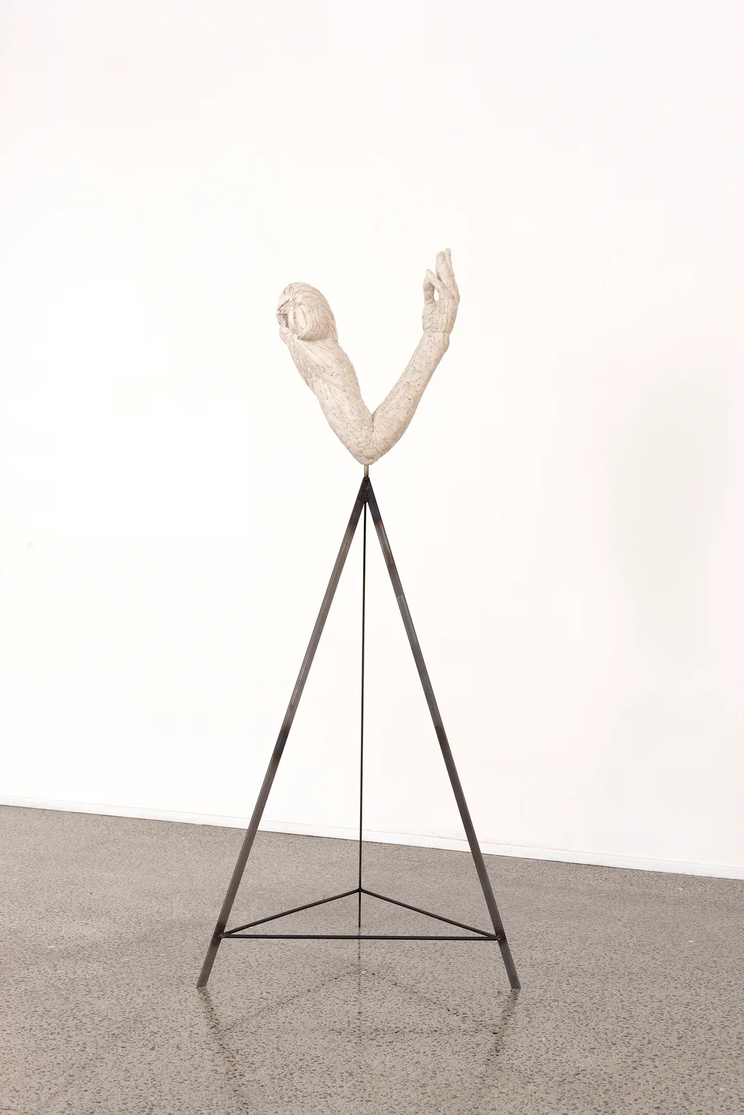 Fiore, III studio (199)