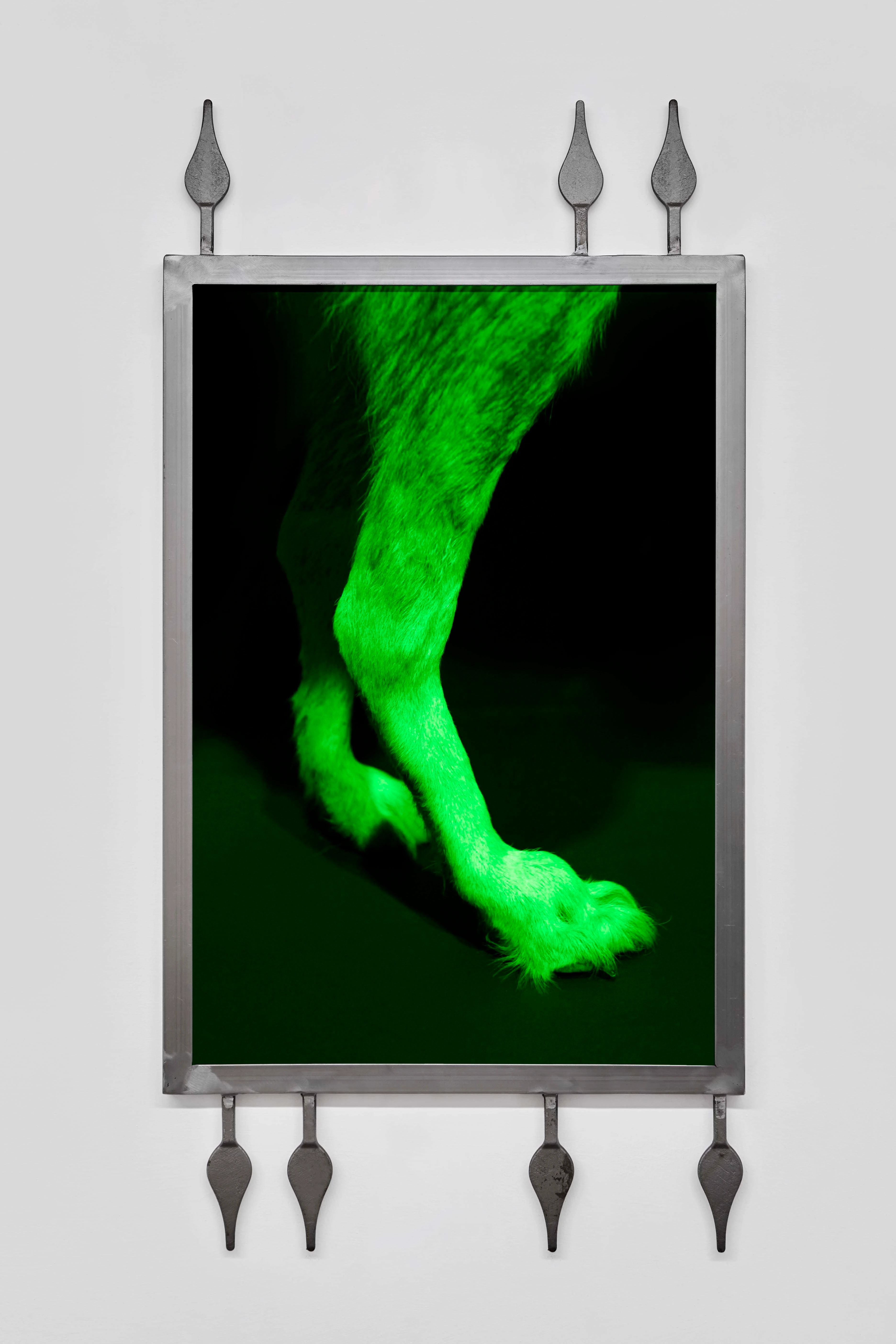 The uses of surrow