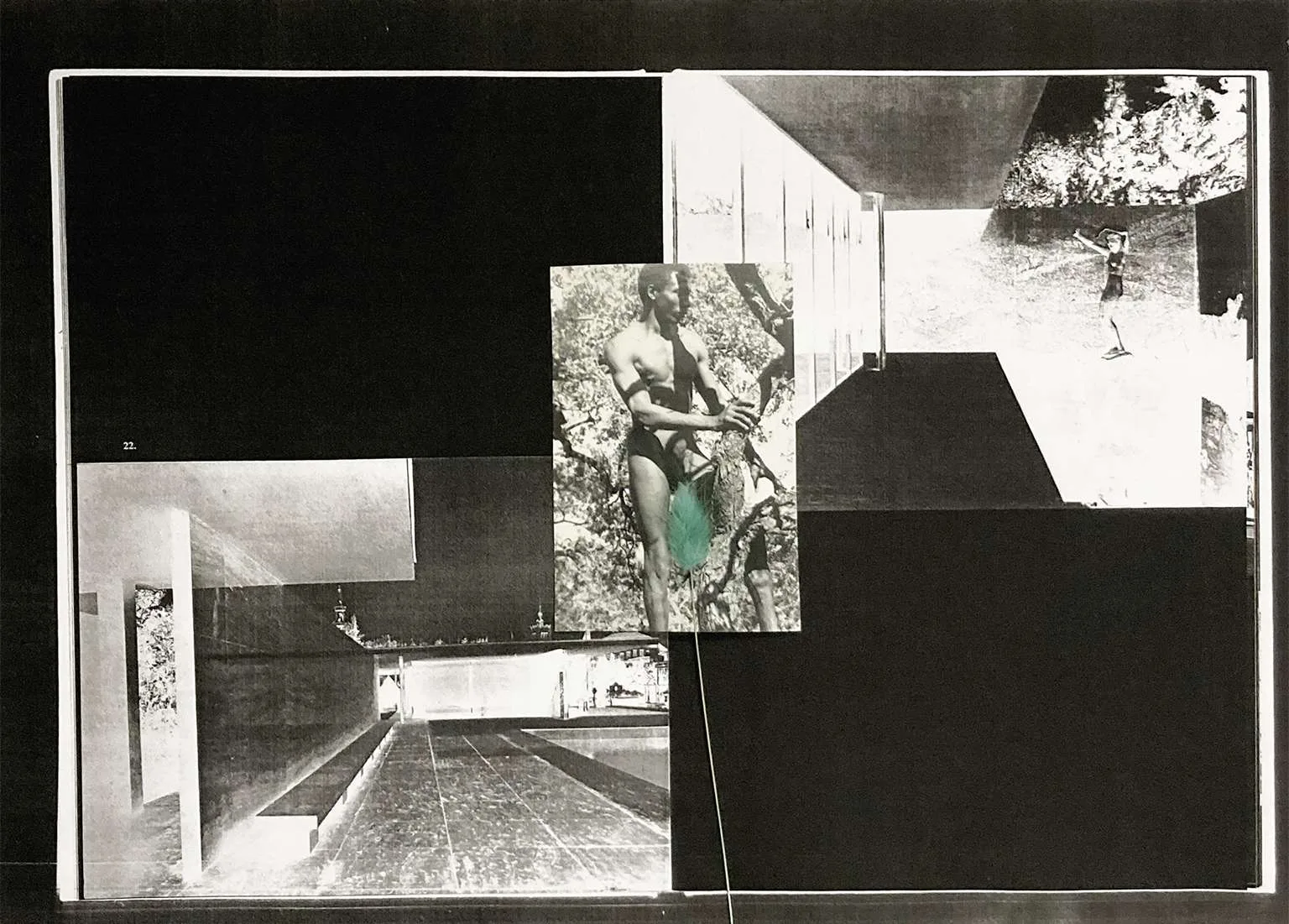Lights, shadows and flowers (after Ludwig Mies van Der Rohe)